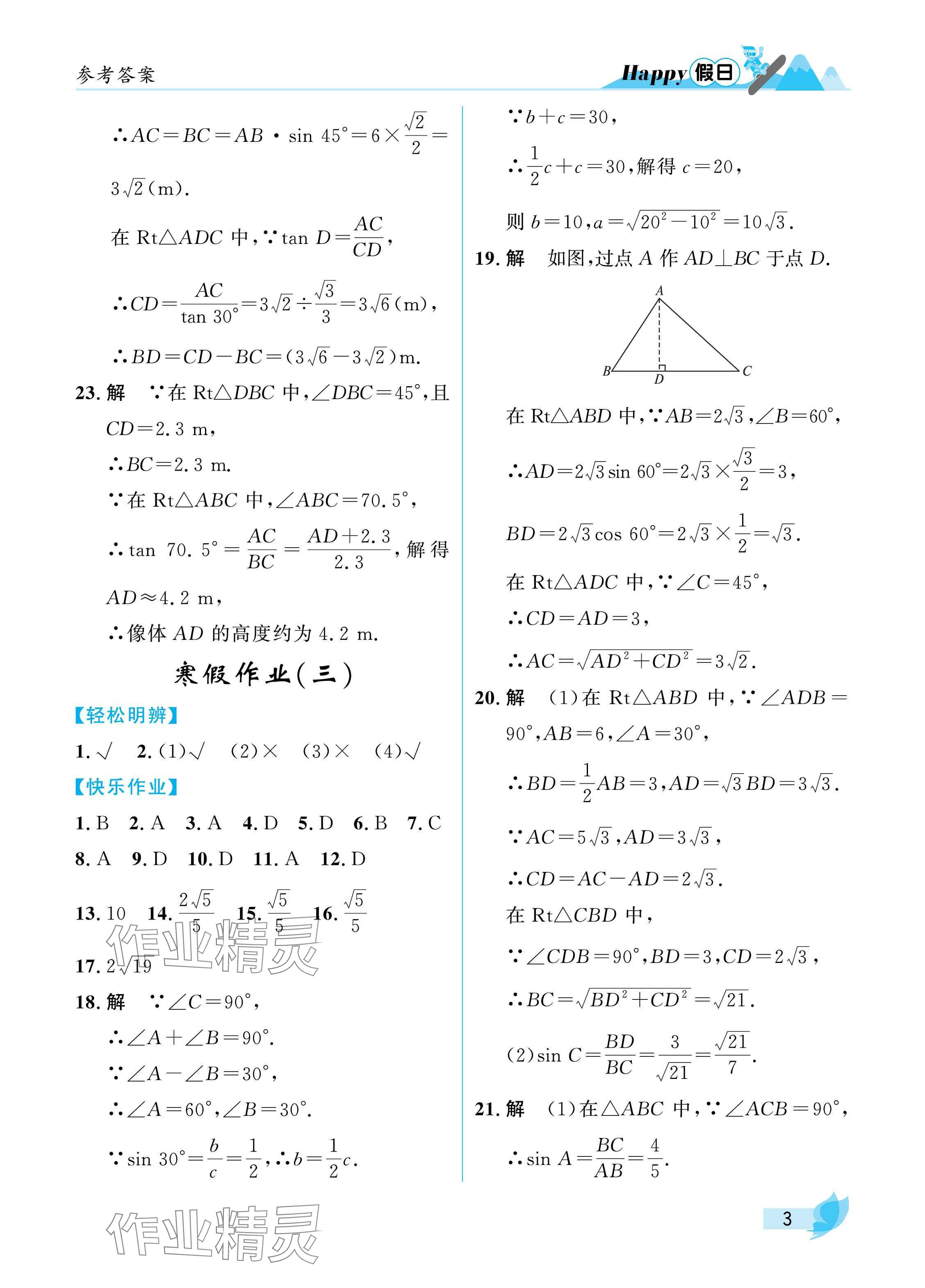 2025年寒假Happy假日九年級數(shù)學(xué)通用版 參考答案第3頁