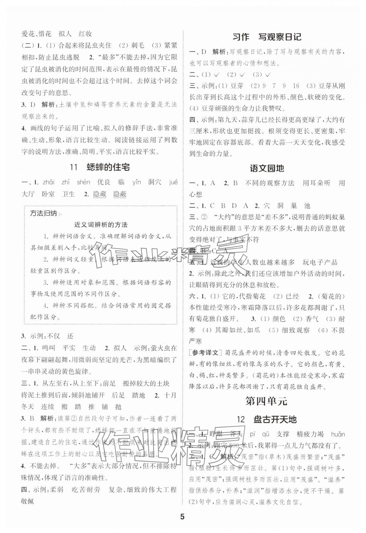2025年通城學典課時作業(yè)本四年級語文上冊人教版浙江專版 第5頁