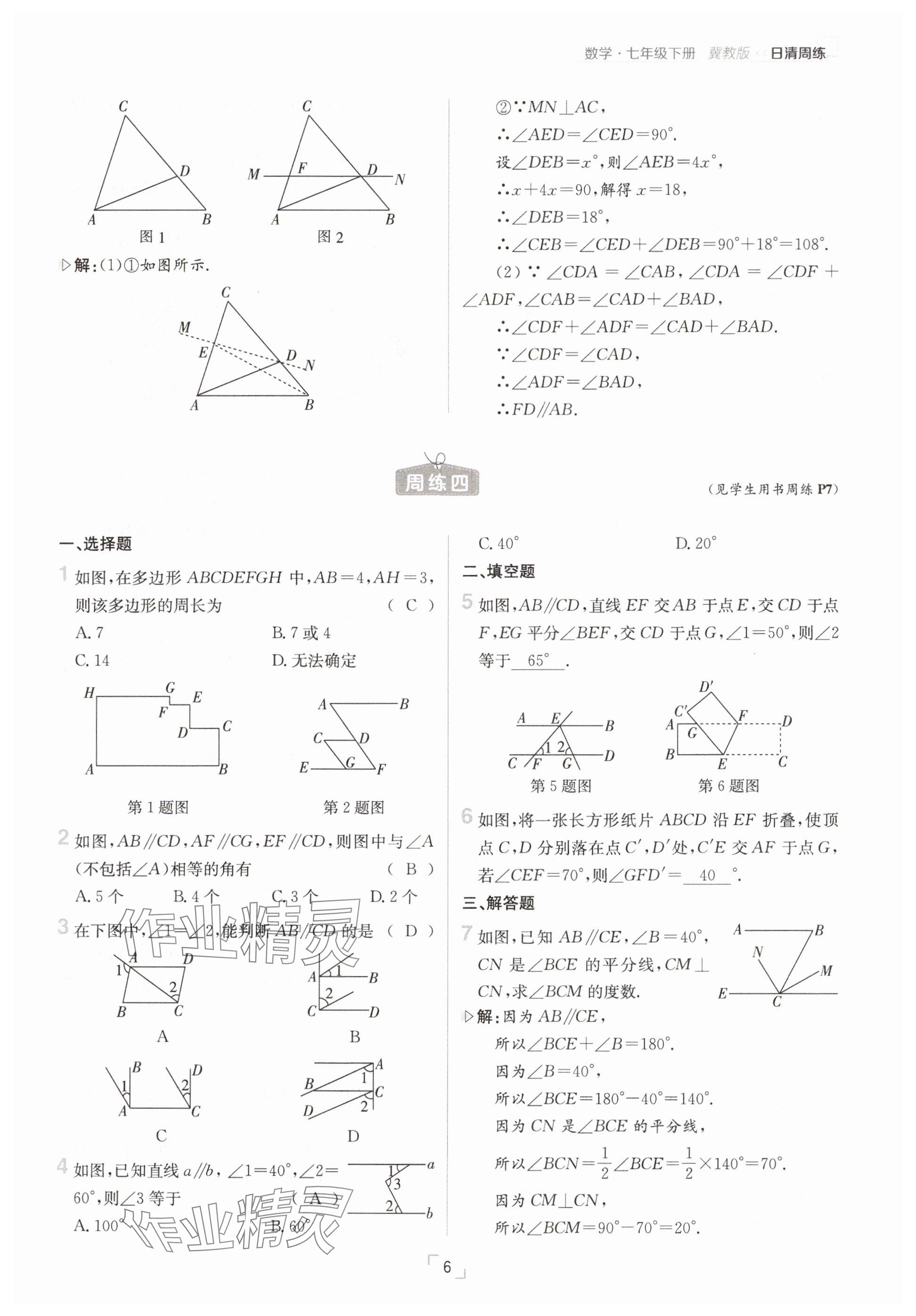2025年日清周練七年級數(shù)學下冊冀教版 參考答案第6頁
