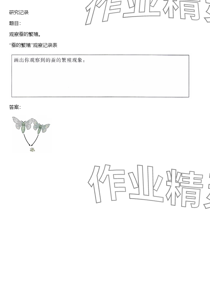 2024年同步實踐評價課程基礎(chǔ)訓(xùn)練三年級科學(xué)下冊教科版 參考答案第108頁