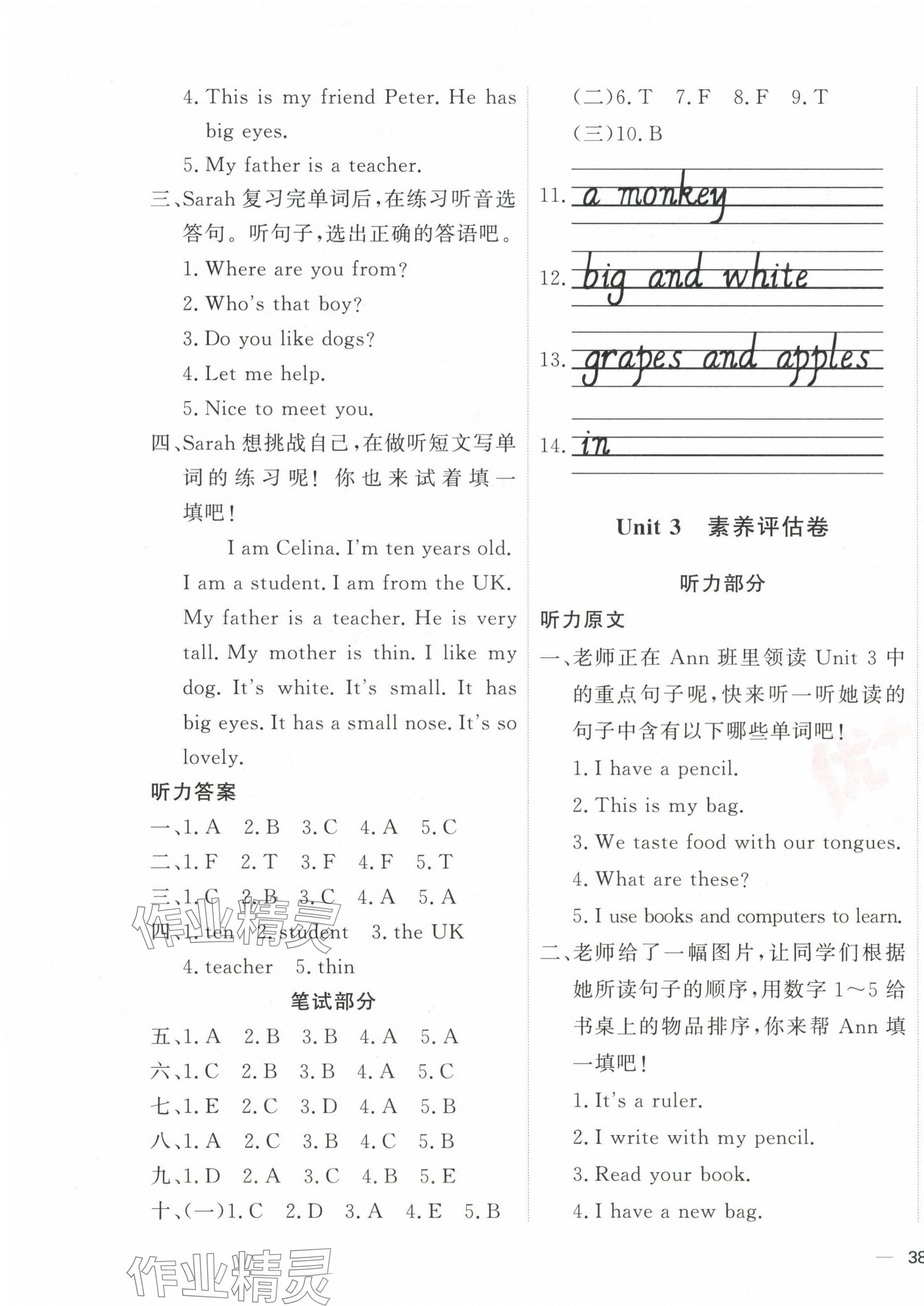 2025年優加密卷三年級英語下冊人教版 第3頁