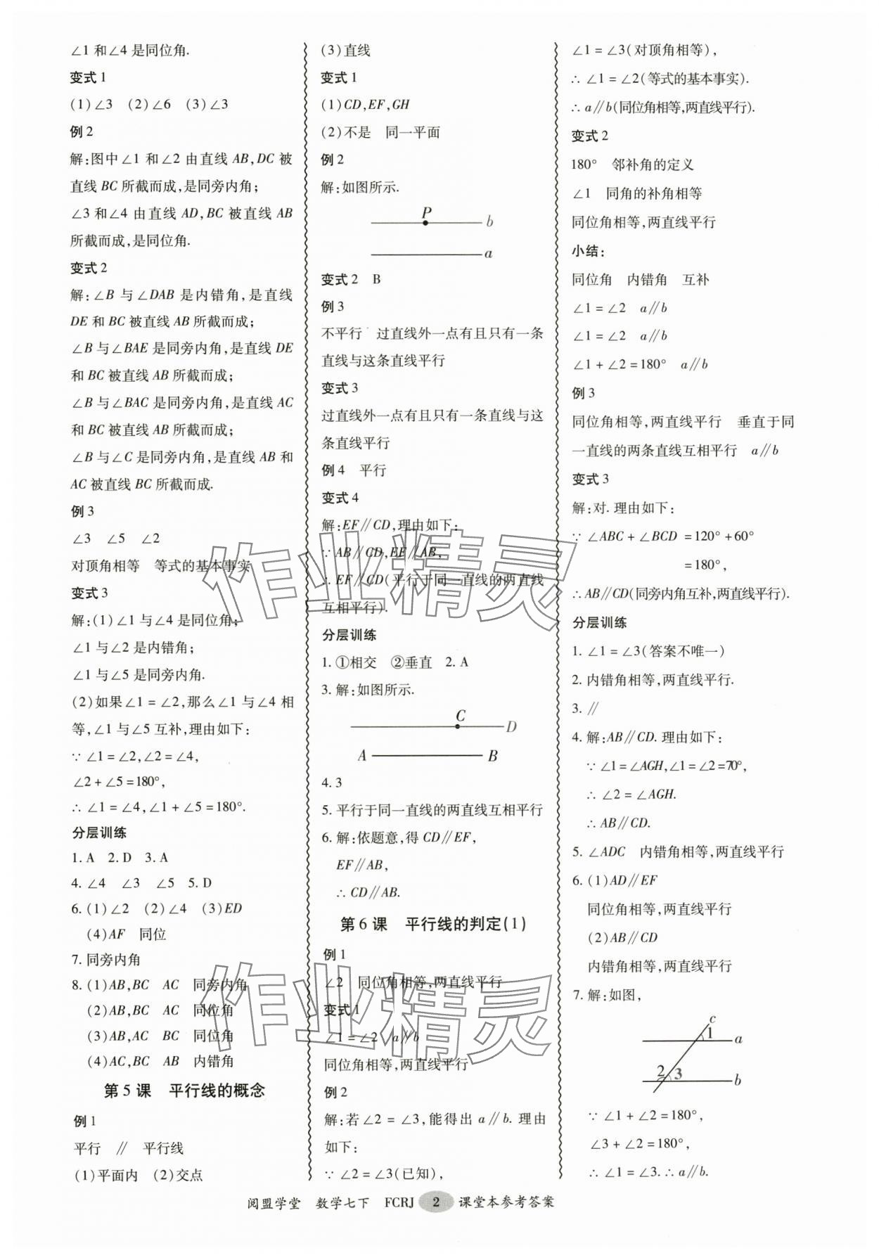 2025年分层导学案七年级数学下册人教版 参考答案第2页