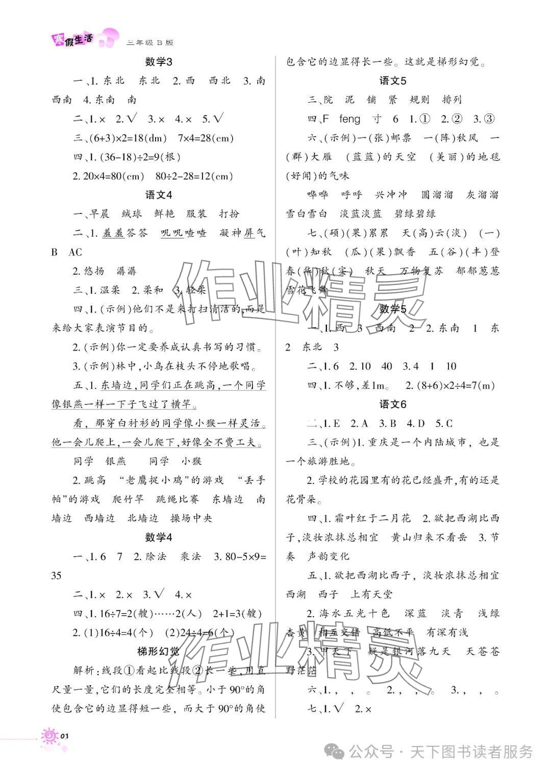 2025年寒假生活三年级B版重庆出版社 参考答案第2页