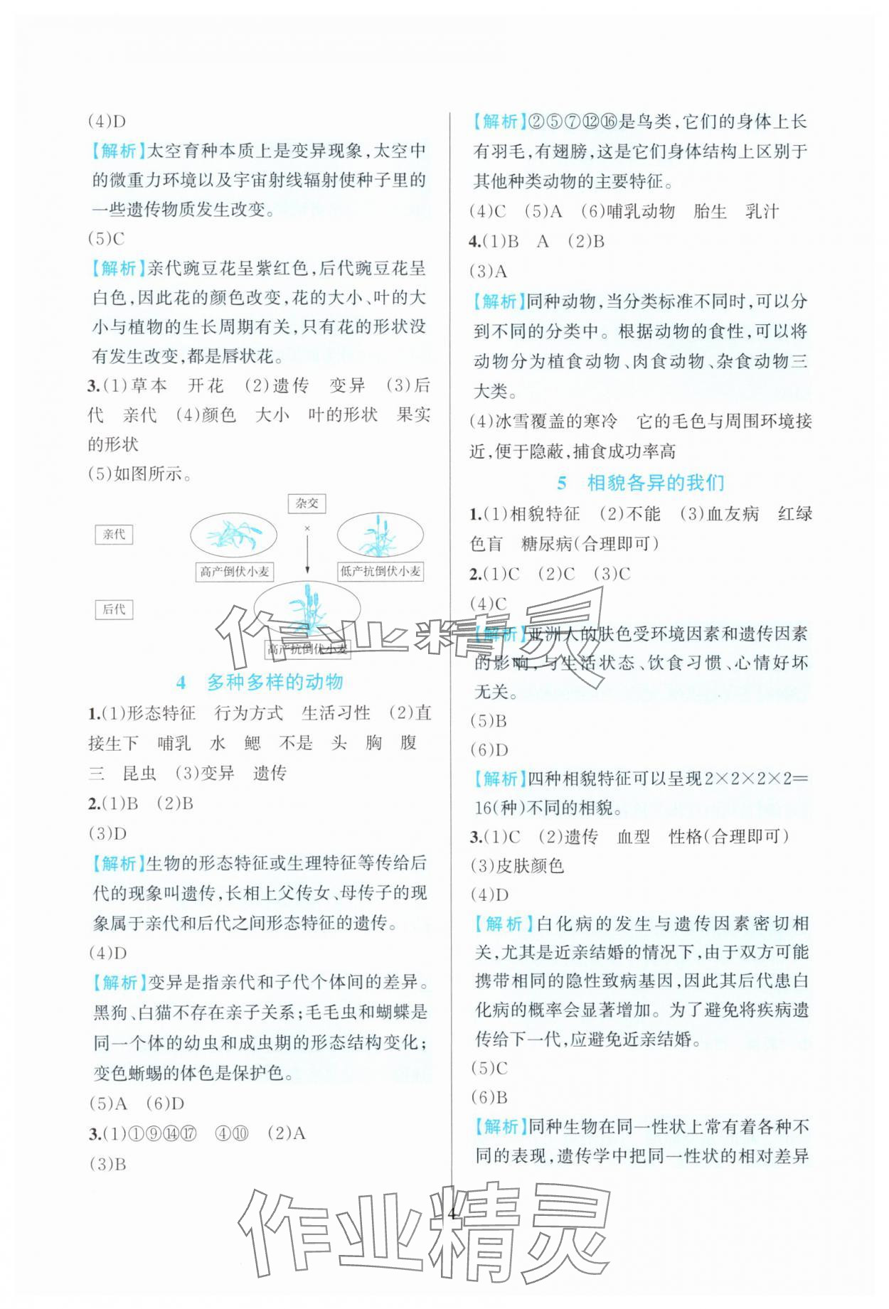2025年全優(yōu)方案夯實(shí)與提高六年級(jí)科學(xué)下冊(cè)教科版 第4頁(yè)