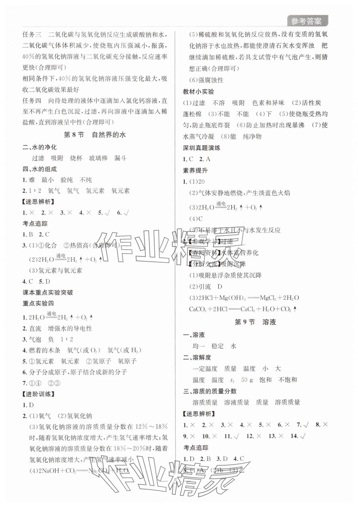 2025年廣東名師講練通中考總復習化學深圳專版 第5頁