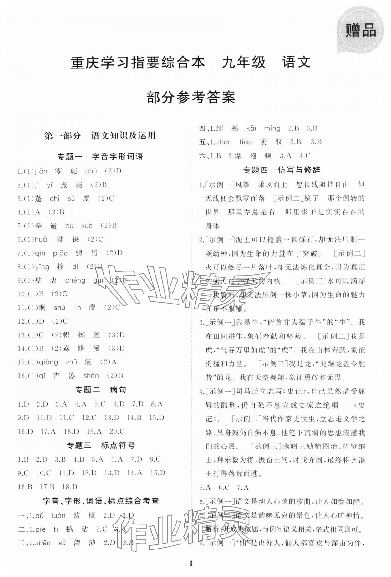 2025年学习指要综合本九年级语文 第1页