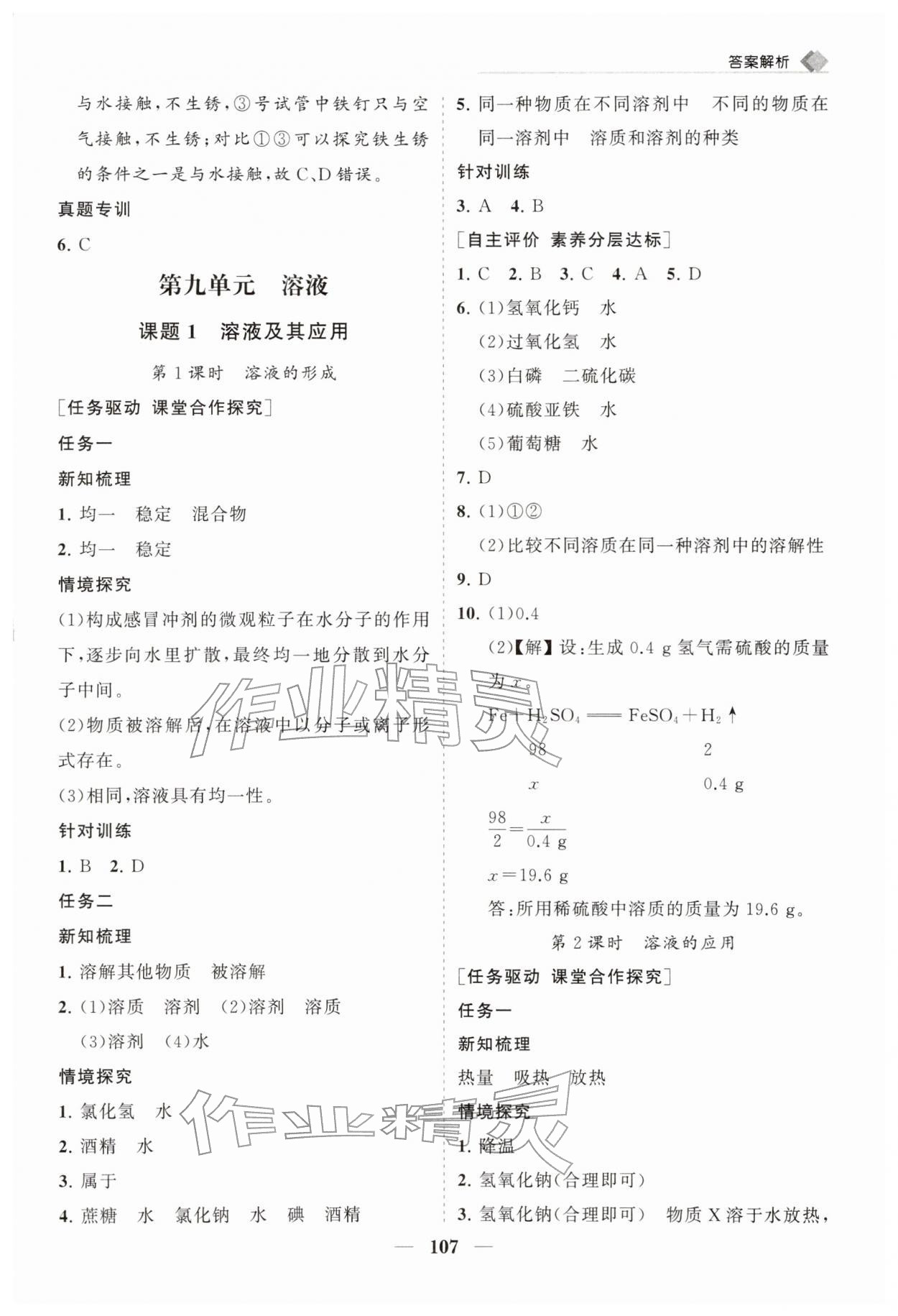 2026年新课程同步练习册九年级化学下册人教版&nbsp;第7页