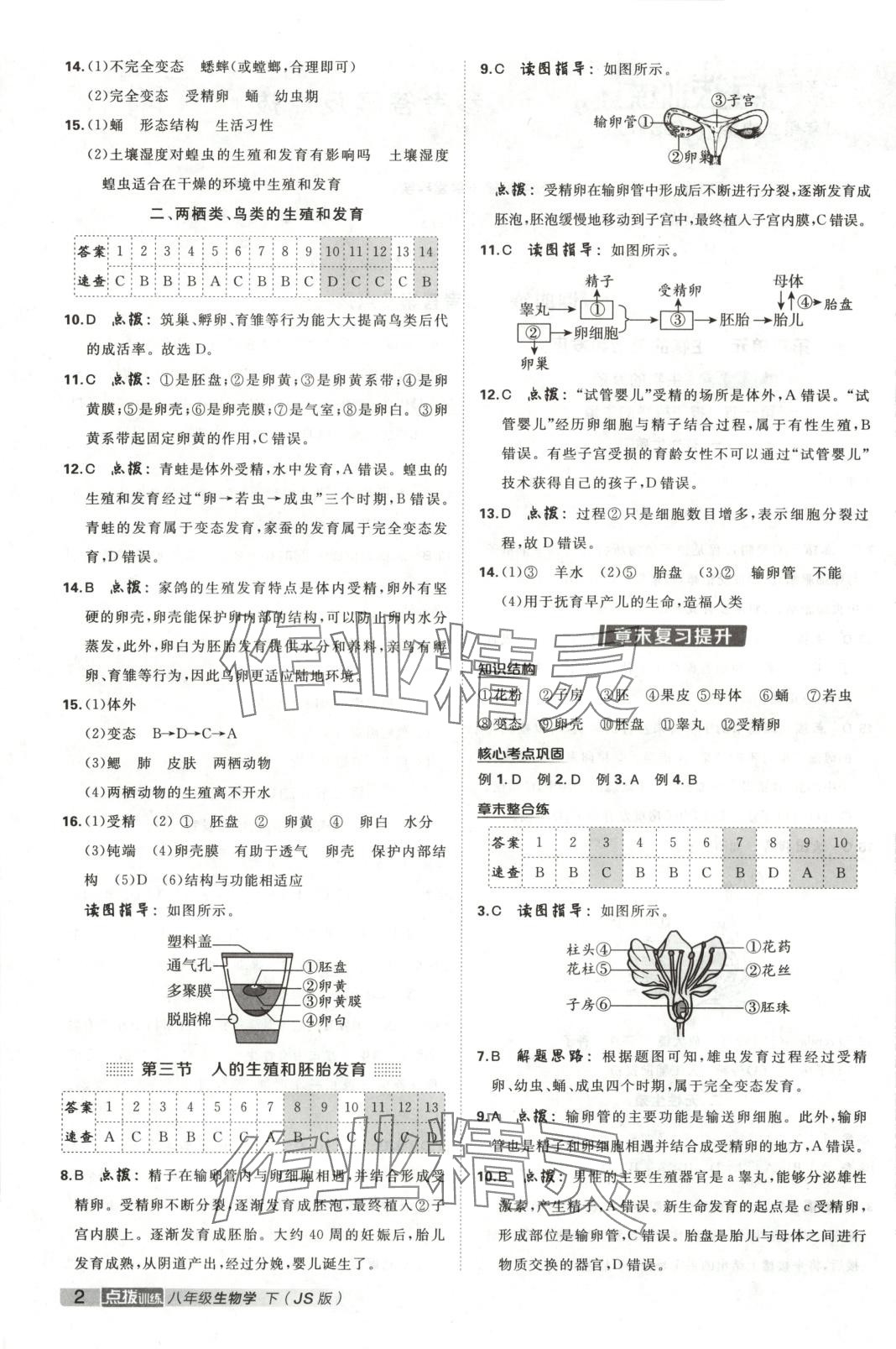 2025年点拨训练八年级生物下册苏教版 第2页