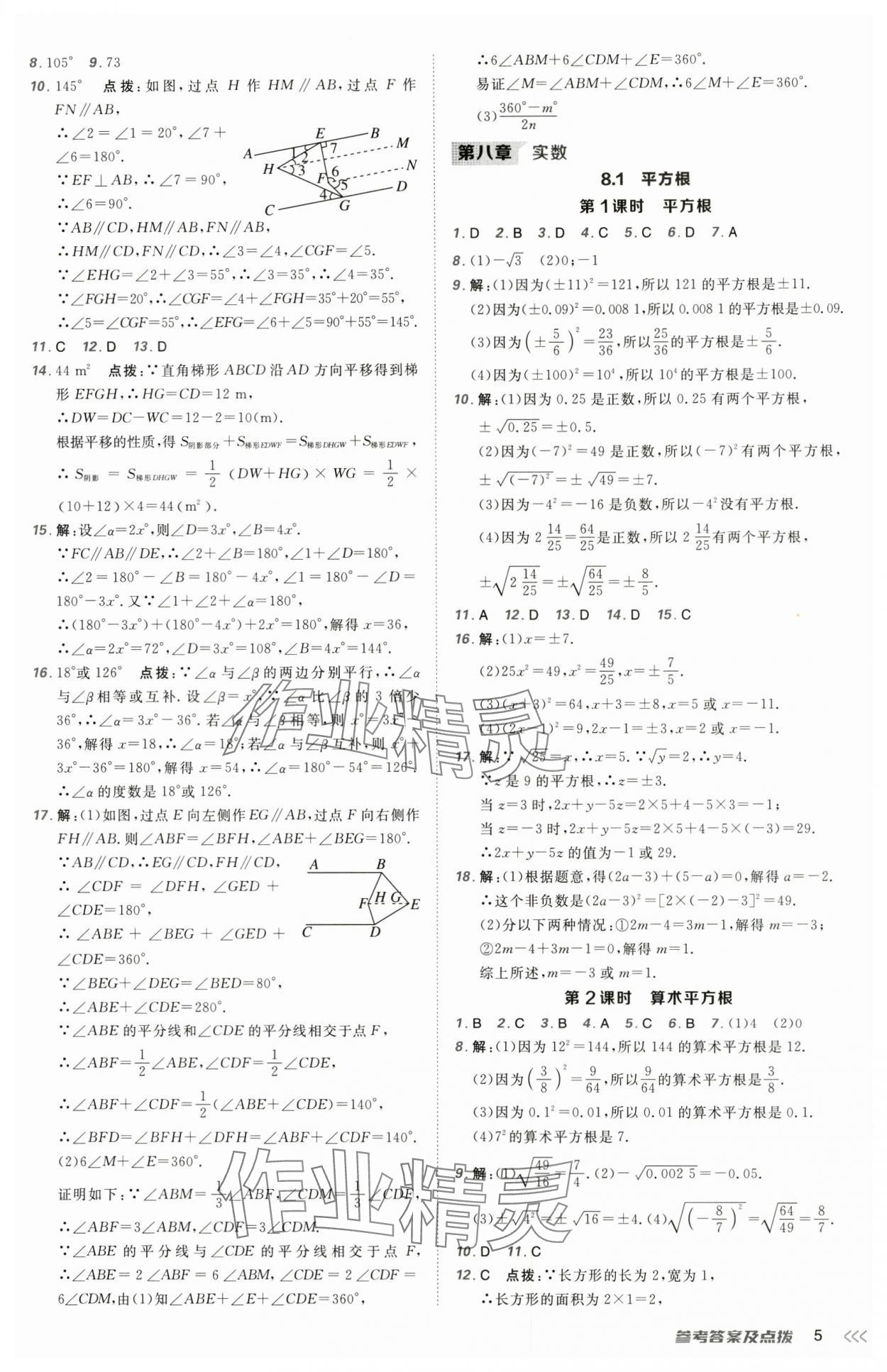2025年點撥訓(xùn)練七年級數(shù)學(xué)下冊人教版 第5頁