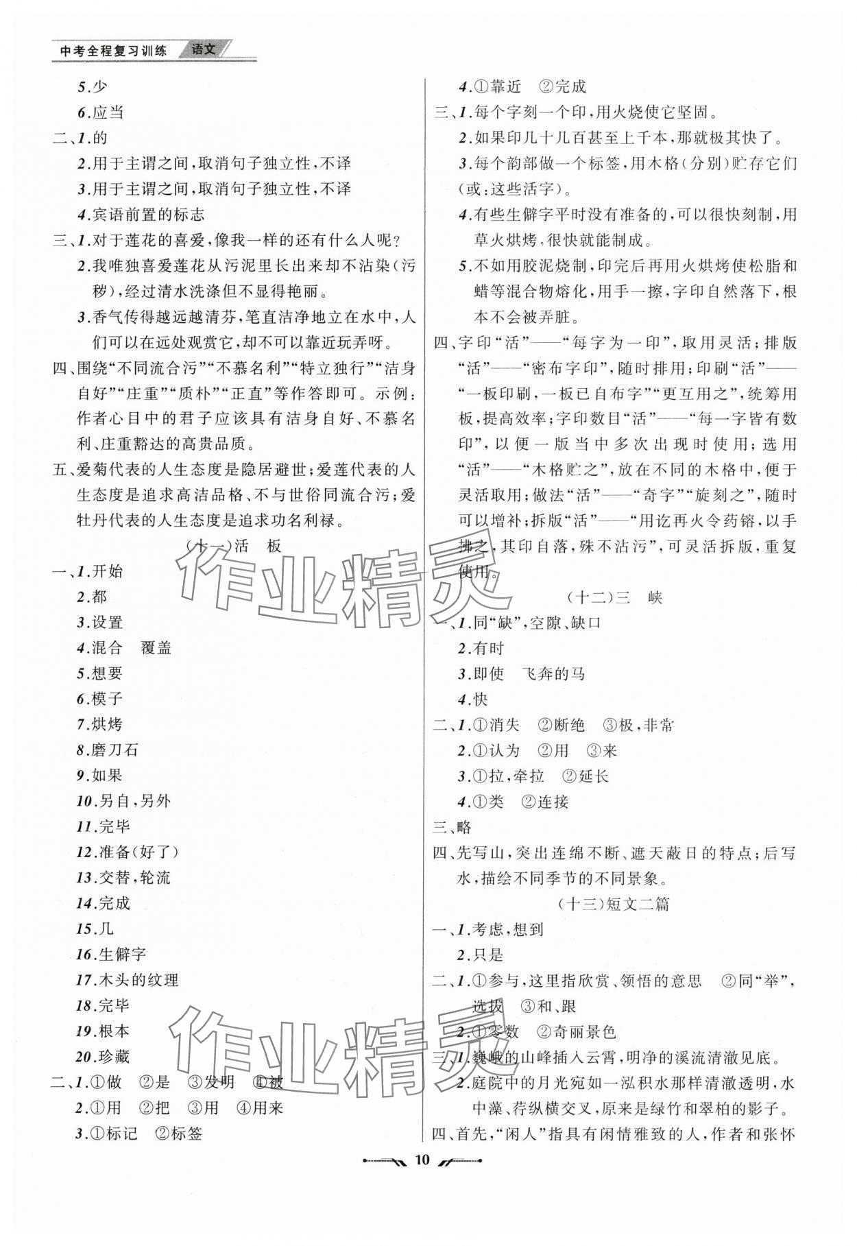 2025年中考全程復(fù)習(xí)訓(xùn)練語(yǔ)文大連專版 第10頁(yè)