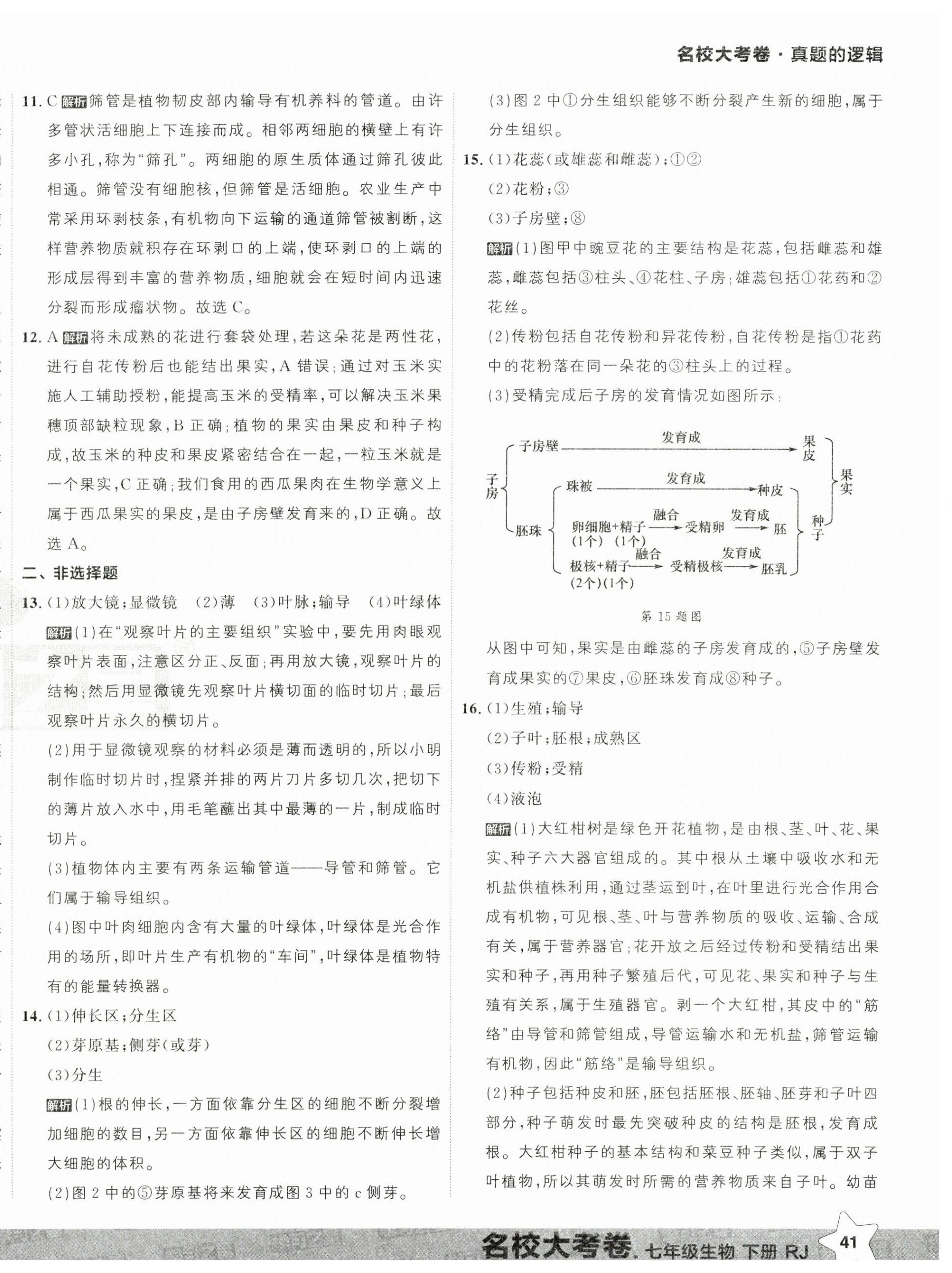 2025年名校大考卷七年级生物下册人教版大连专版 第2页