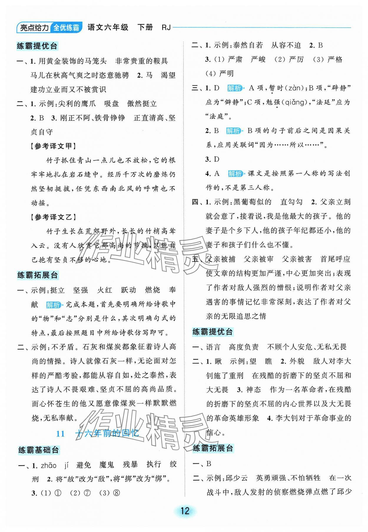 2024年亮點給力全優(yōu)練霸六年級語文下冊人教版 參考答案第12頁