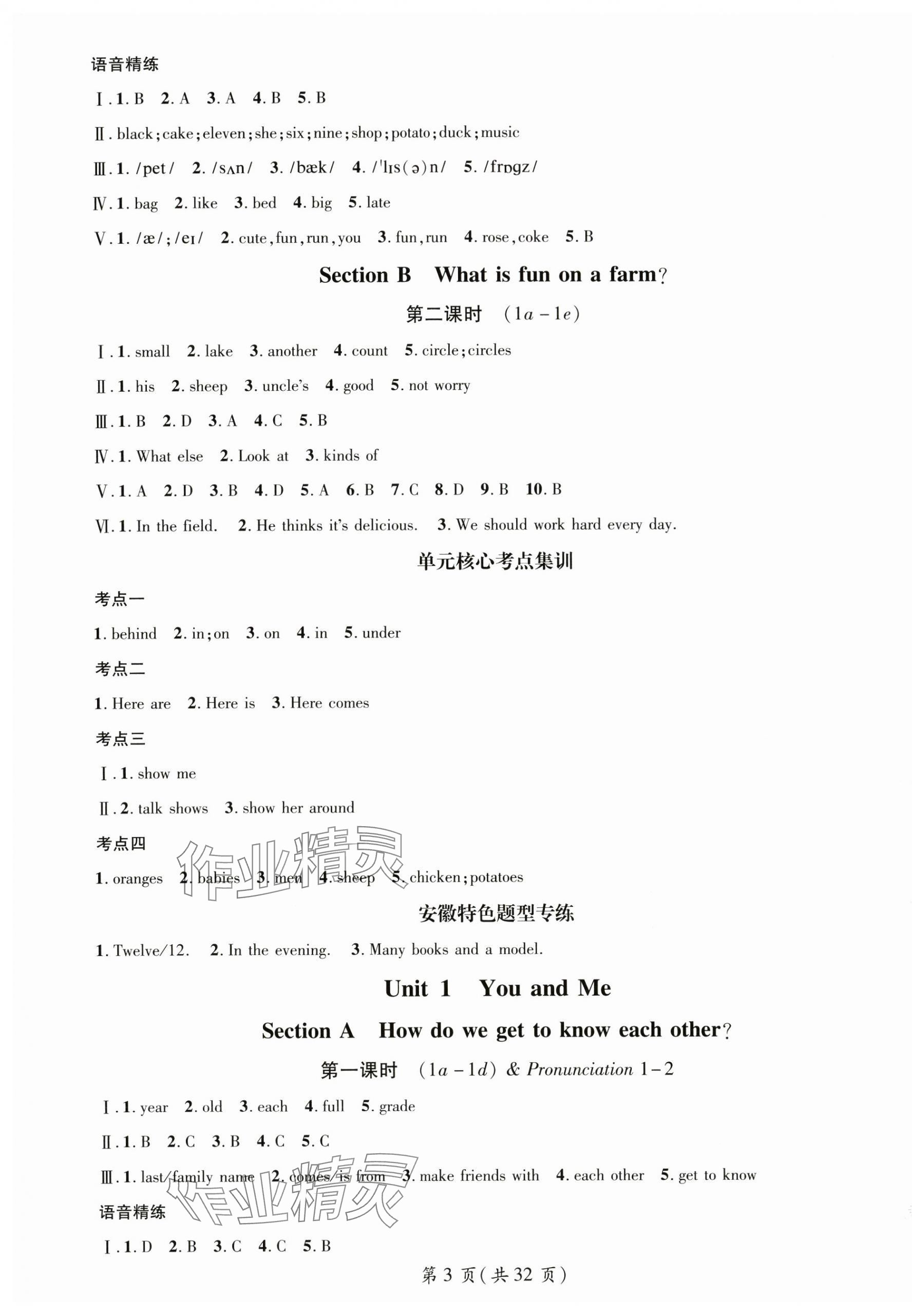 2025年名師測(cè)控七年級(jí)英語(yǔ)上冊(cè)人教版安徽專版 第3頁(yè)
