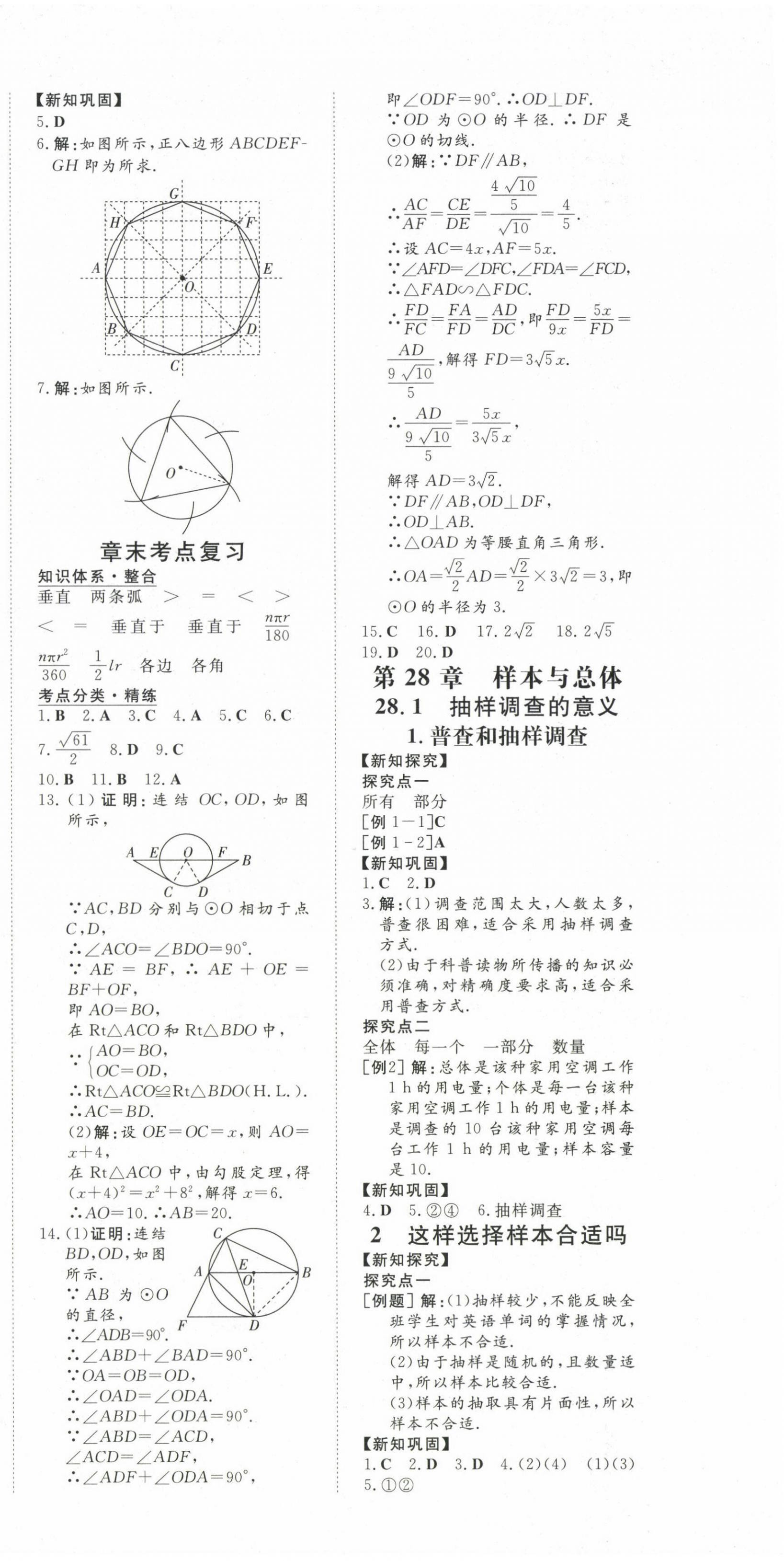 2025年初中同步學習導與練導學探究案九年級數學下冊華師大版 第12頁