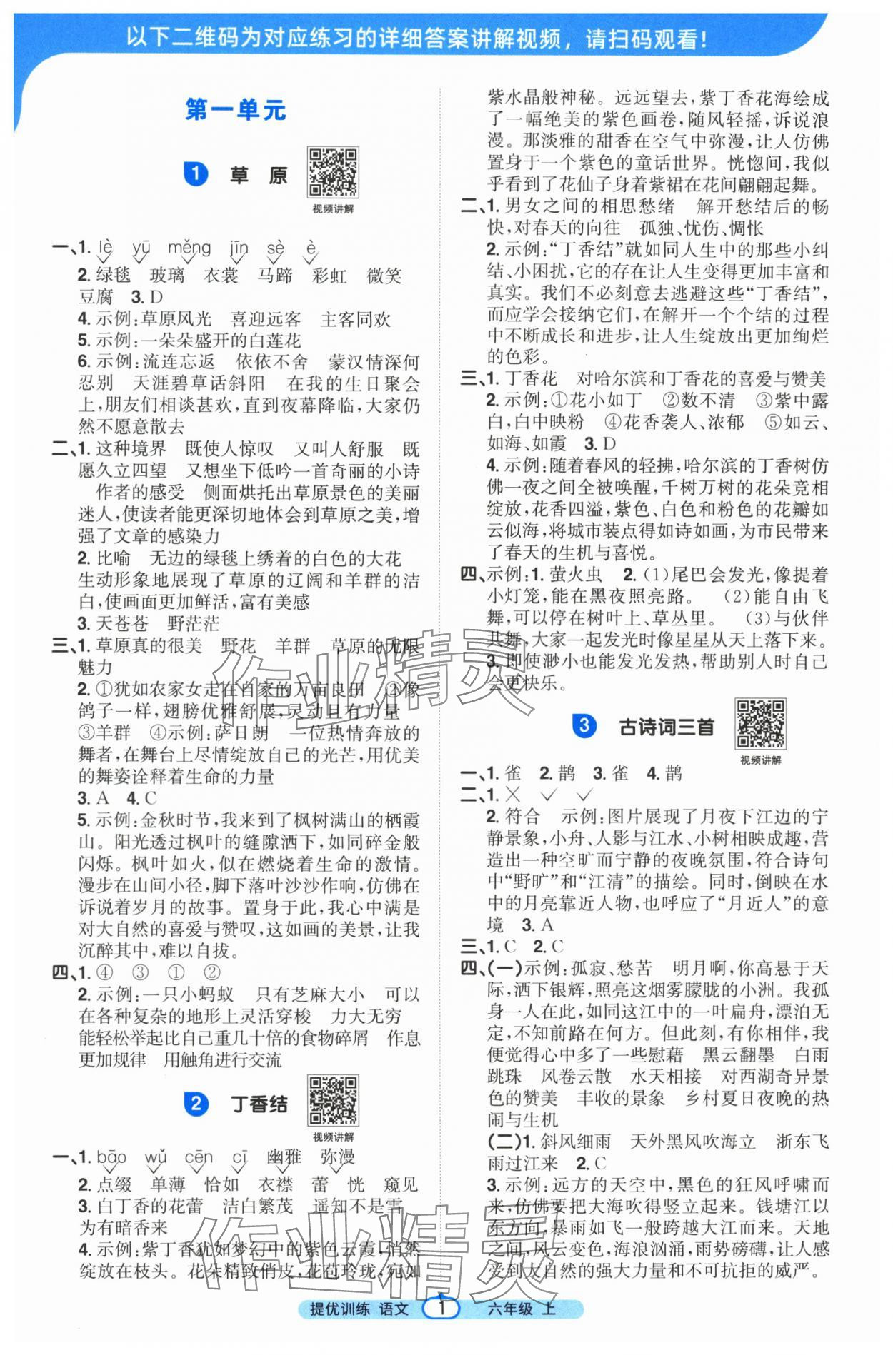 2025年阳光同学课时提优训练六年级语文上册人教版 第1页