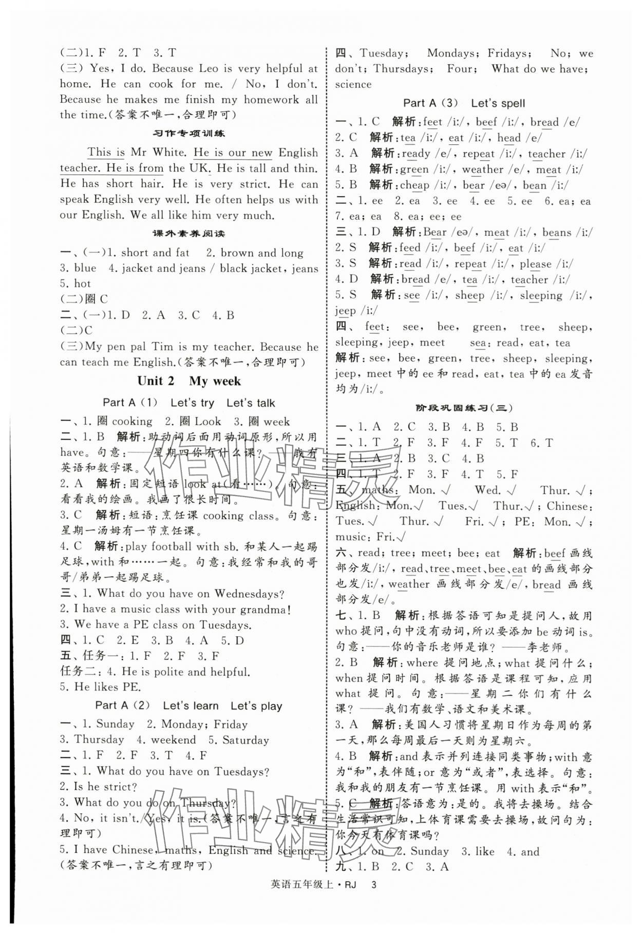 2025年经纶学典学霸提高班五年级英语上册人教版 第3页