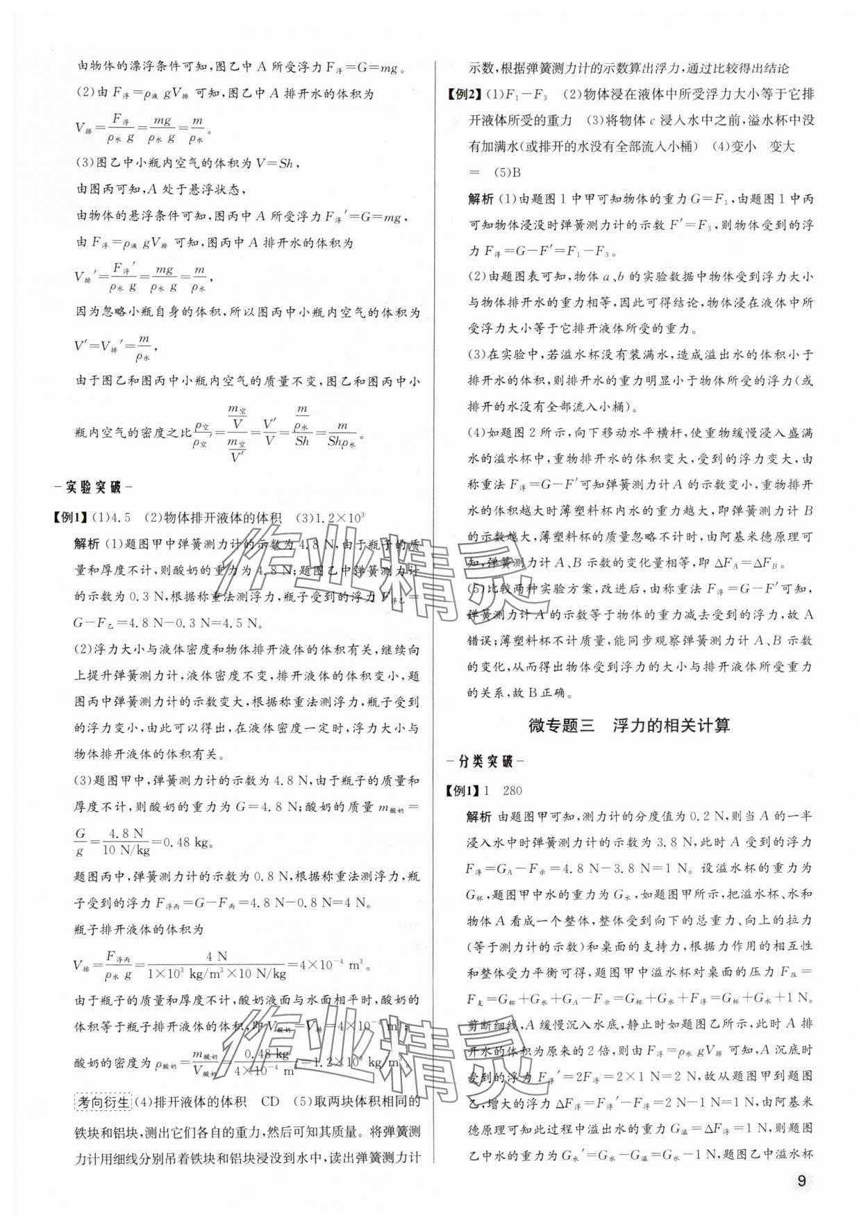 2025年畢業(yè)綜合練習(xí)冊(cè)物理中考 第9頁(yè)