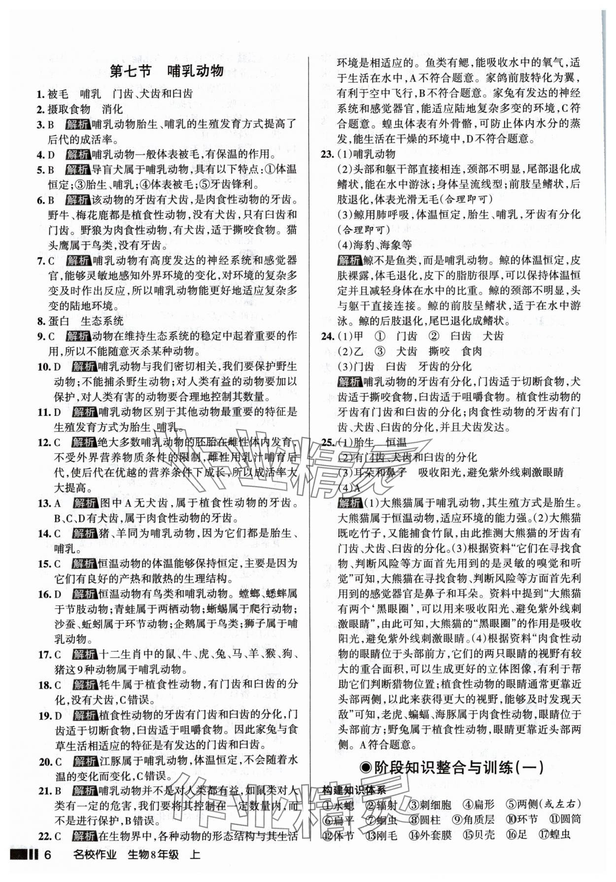 2024年名校作業(yè)八年級(jí)生物上冊(cè)人教版山西專版 參考答案第6頁