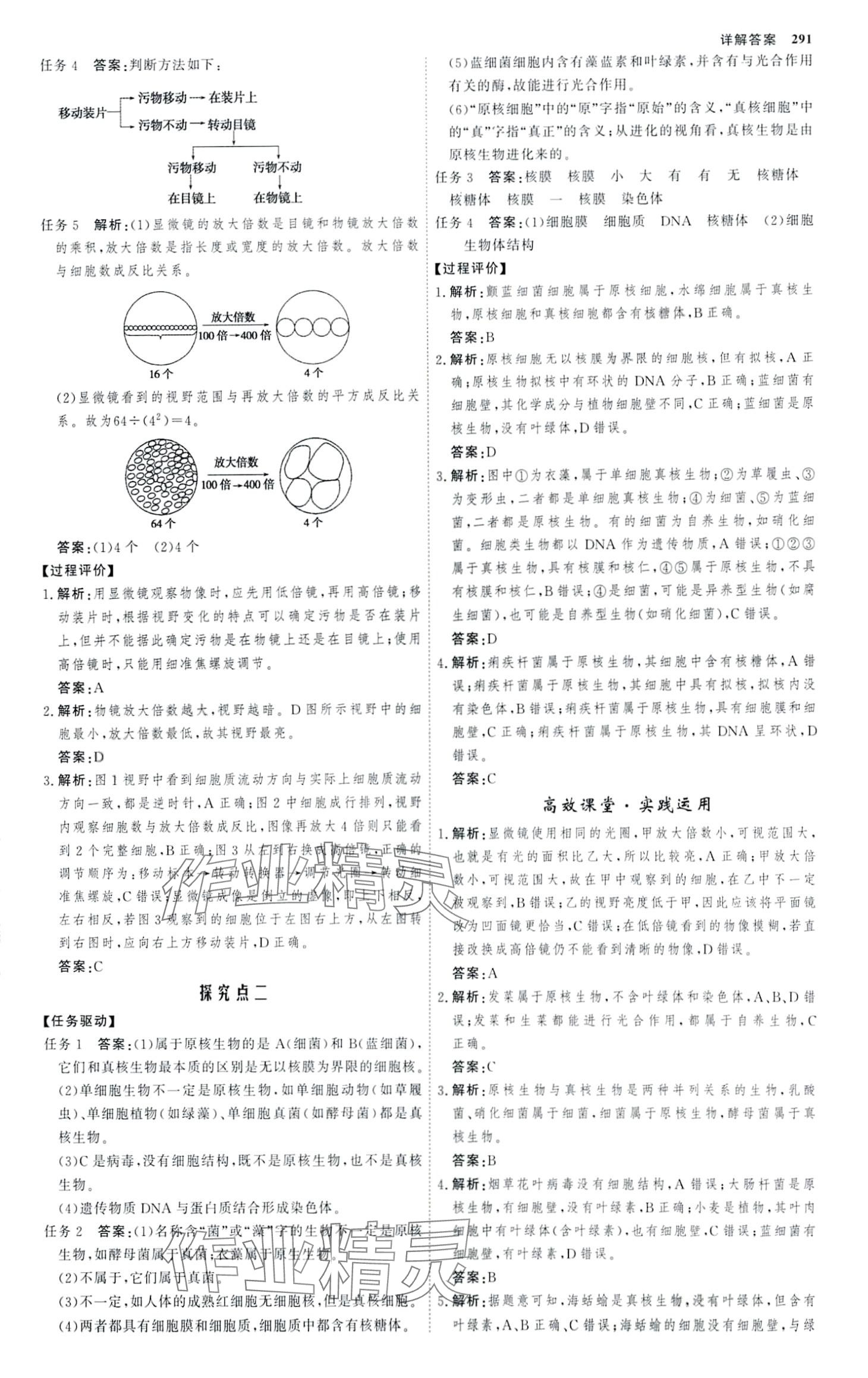 2024年師說高中生物必修1人教版 第2頁