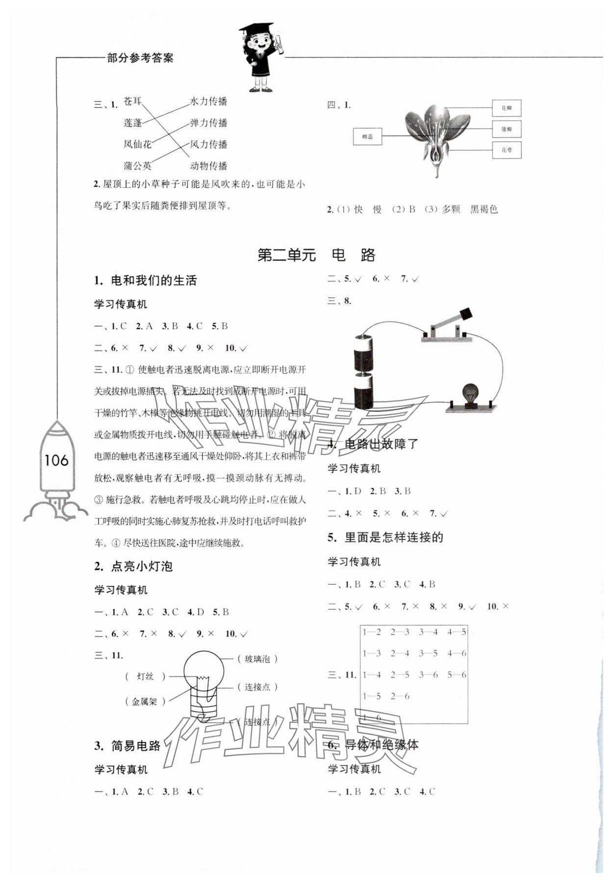 2025年小学科学习作四年级下册教科版增强版 第2页