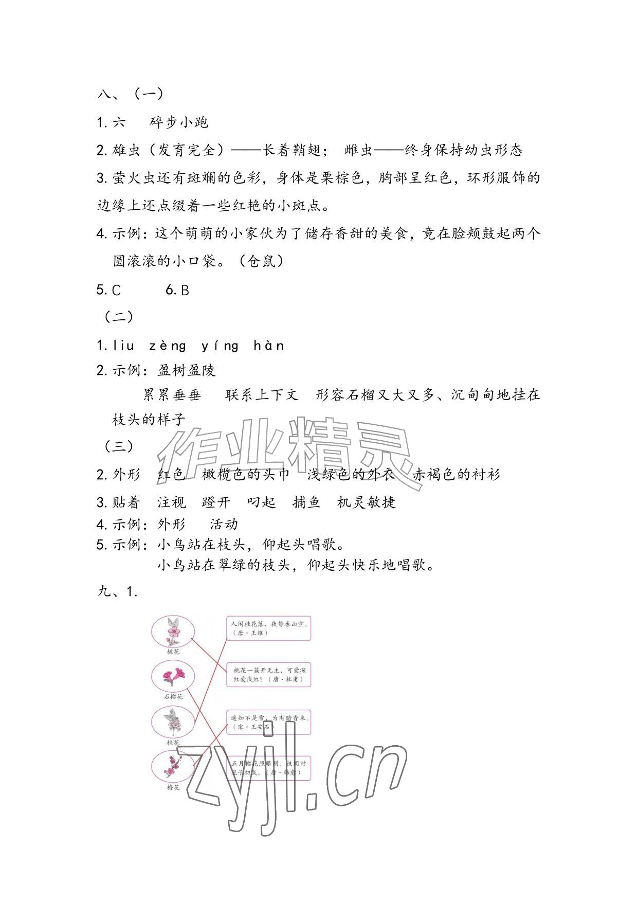 2026年暑假作业安徽少年儿童出版社三年级语文人教版&nbsp;参考答案第2页