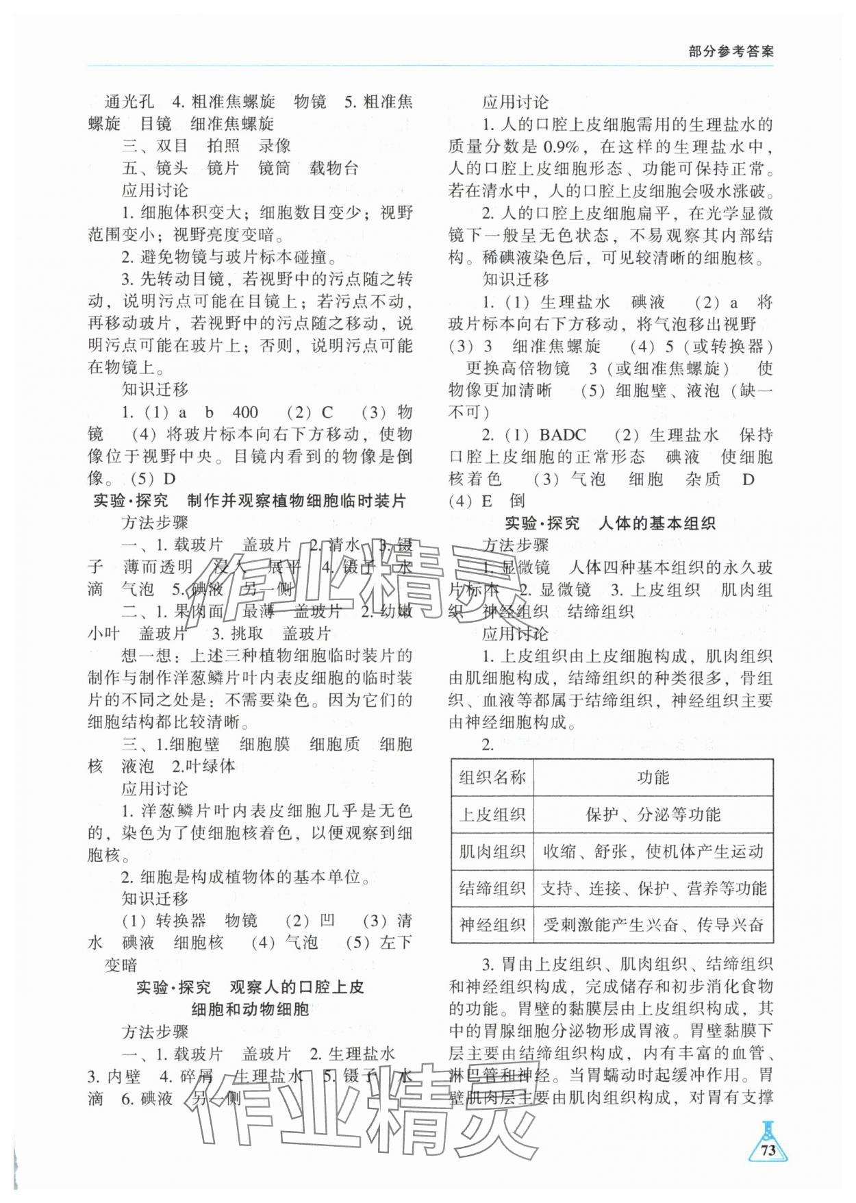 2024年學(xué)生實驗報告冊遼海出版社七年級生物上冊人教版 參考答案第2頁