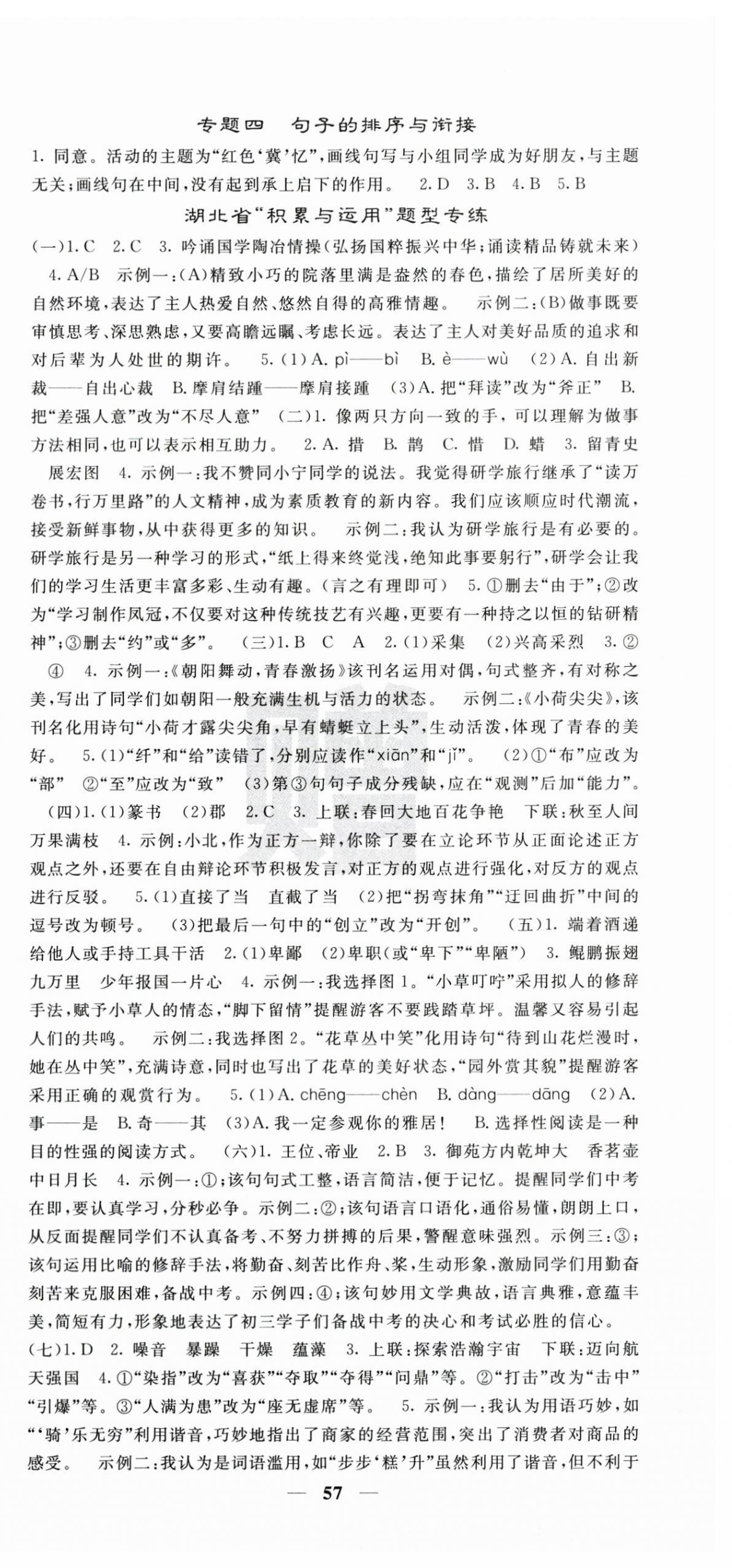 2025年中考新航线语文湖北专版 第9页