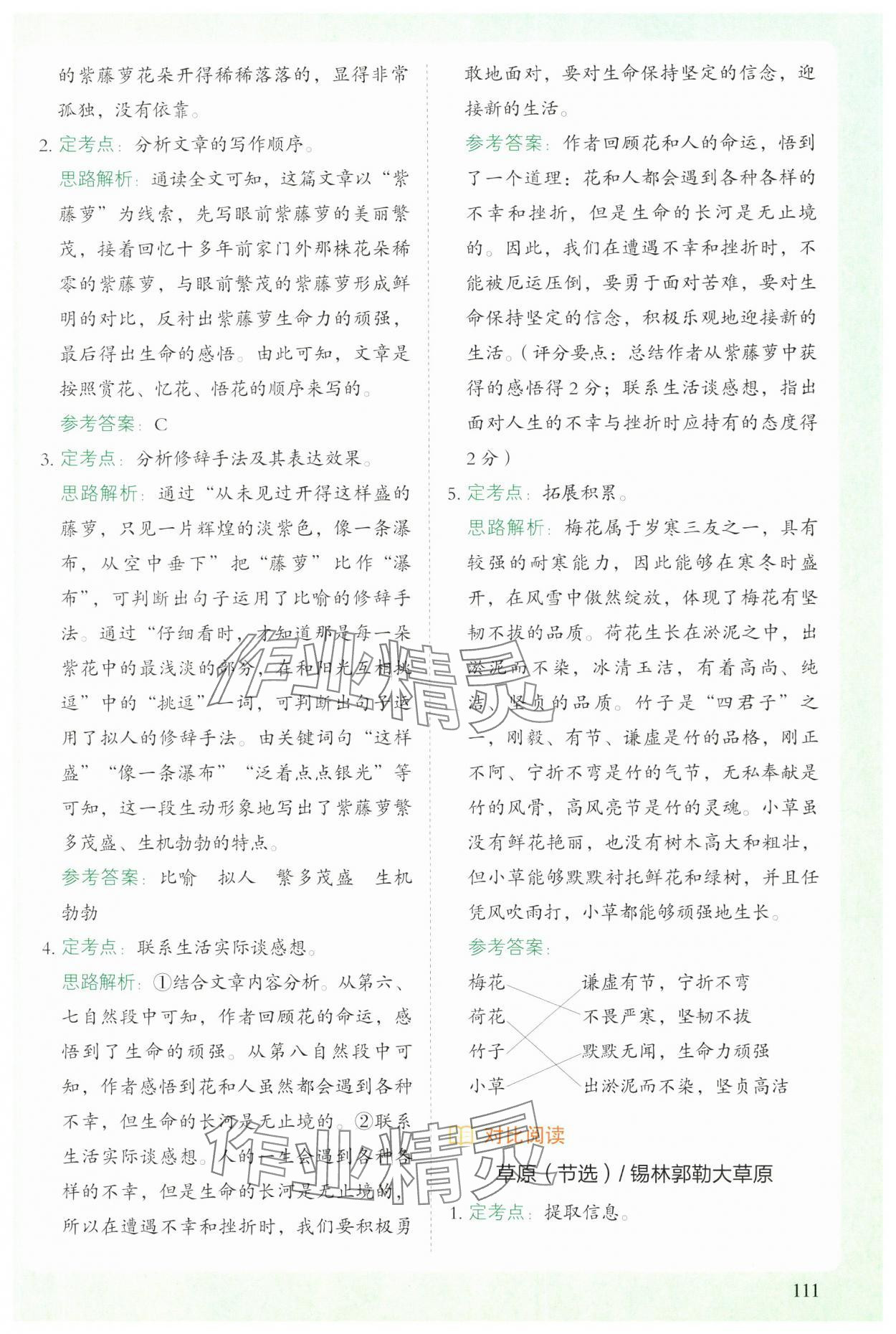 2023年閱讀理解與答題模板六年級(jí)語(yǔ)文上冊(cè)人教版 第3頁(yè)