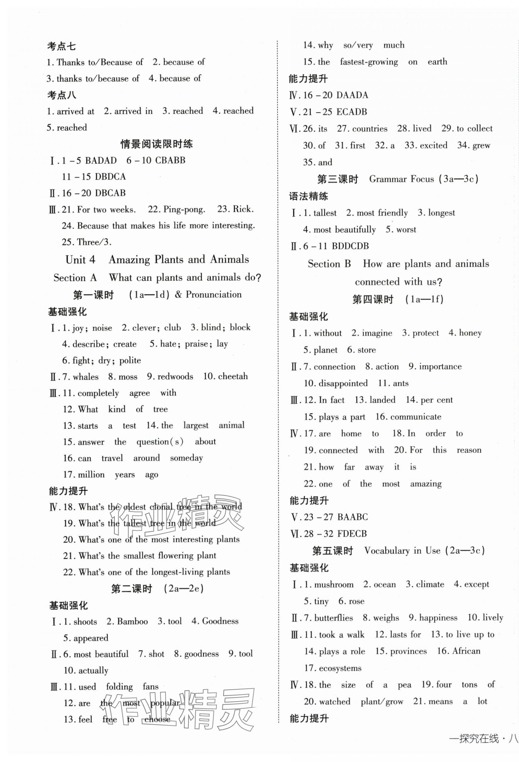 2025年探究在線高效課堂八年級(jí)英語(yǔ)上冊(cè)人教版 第5頁(yè)