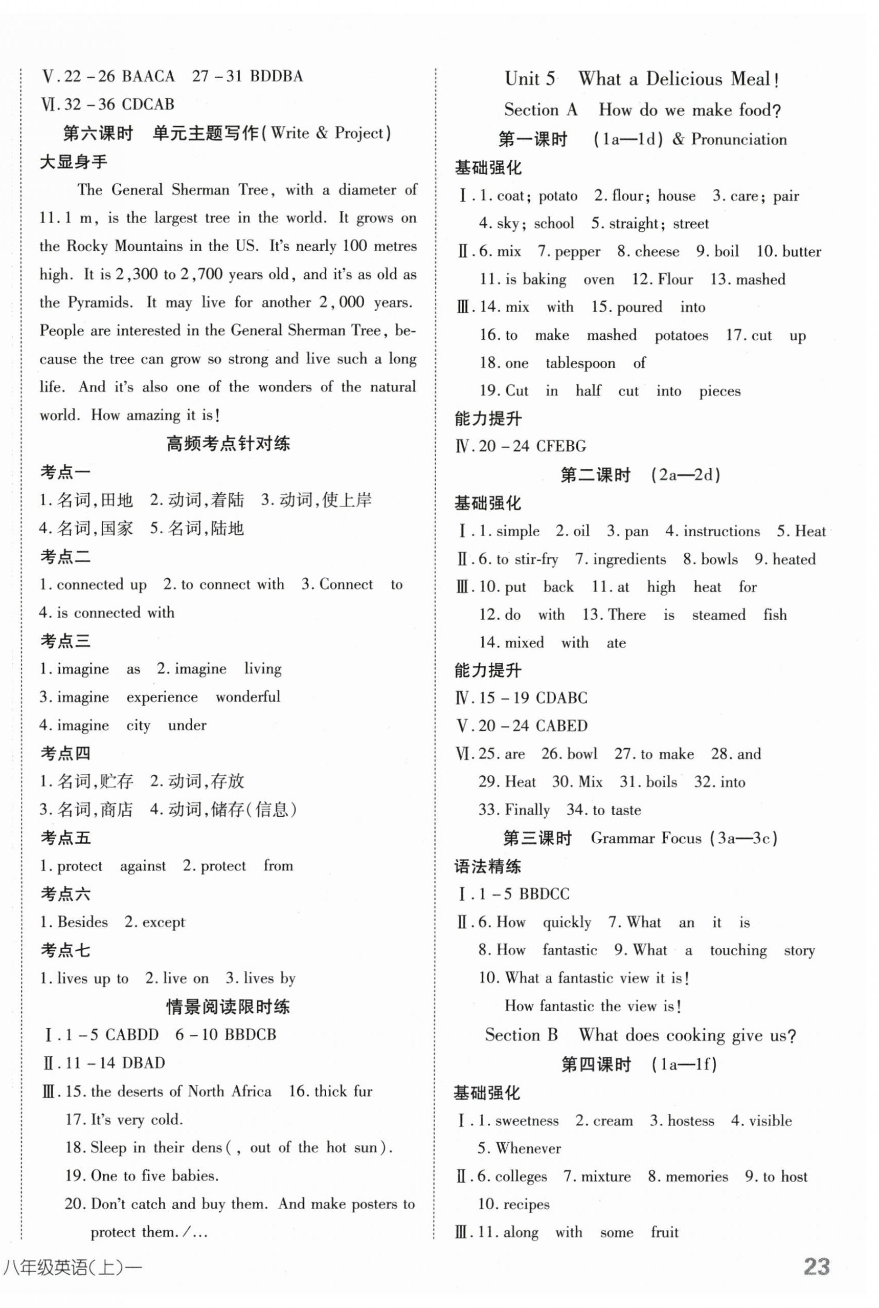 2025年探究在線高效課堂八年級(jí)英語上冊(cè)人教版 第6頁