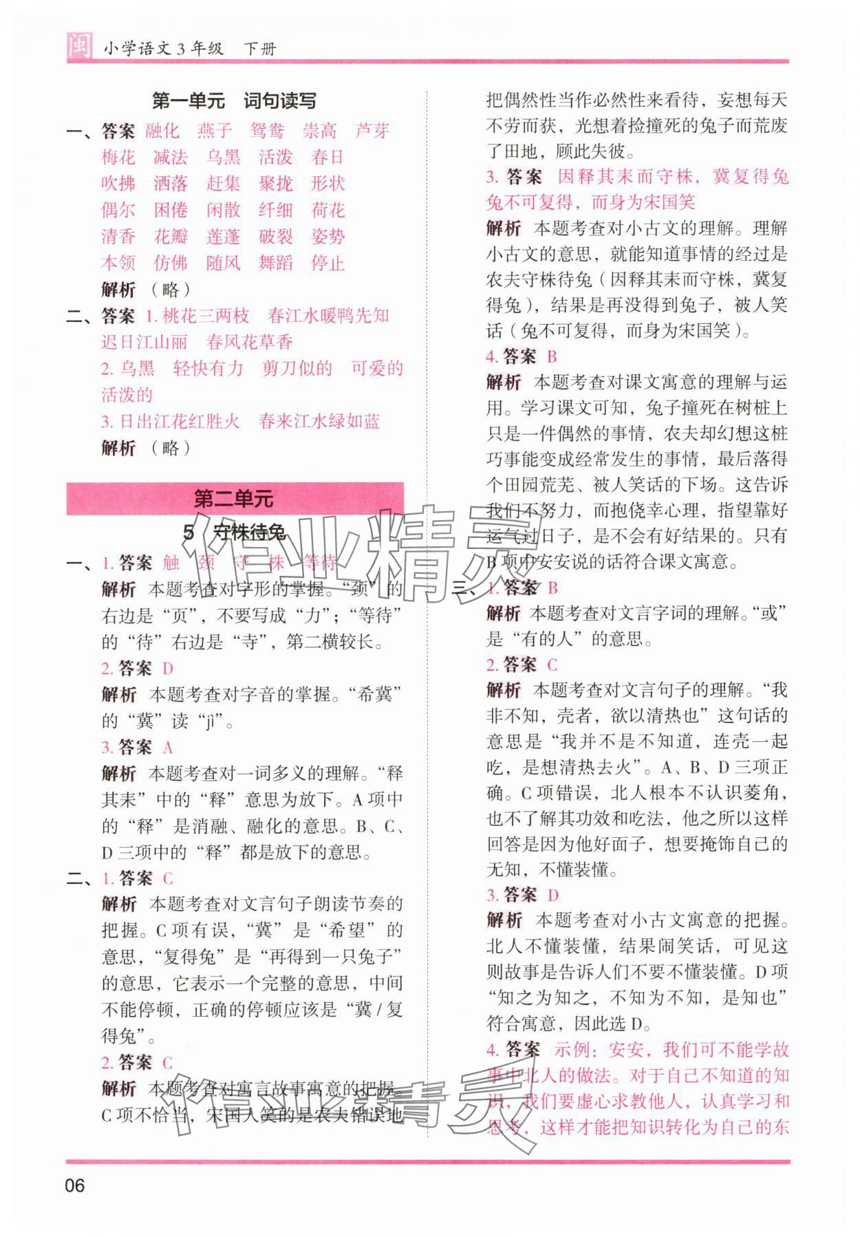 2025年木頭馬分層課課練三年級語文下冊人教版福建專版 第6頁