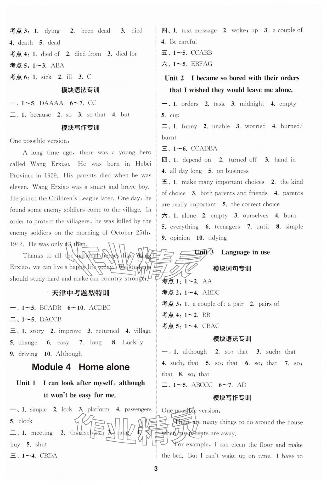 2025年通城學典課時作業(yè)本九年級英語上冊外研版天津專版 第3頁