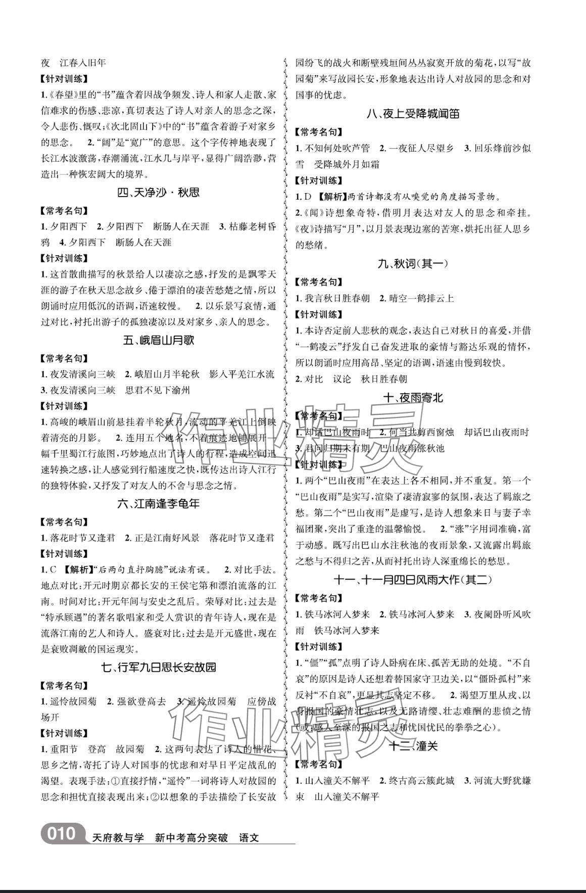 2025年天府教與學(xué)新中考高分突破語(yǔ)文四川專(zhuān)版 參考答案第10頁(yè)