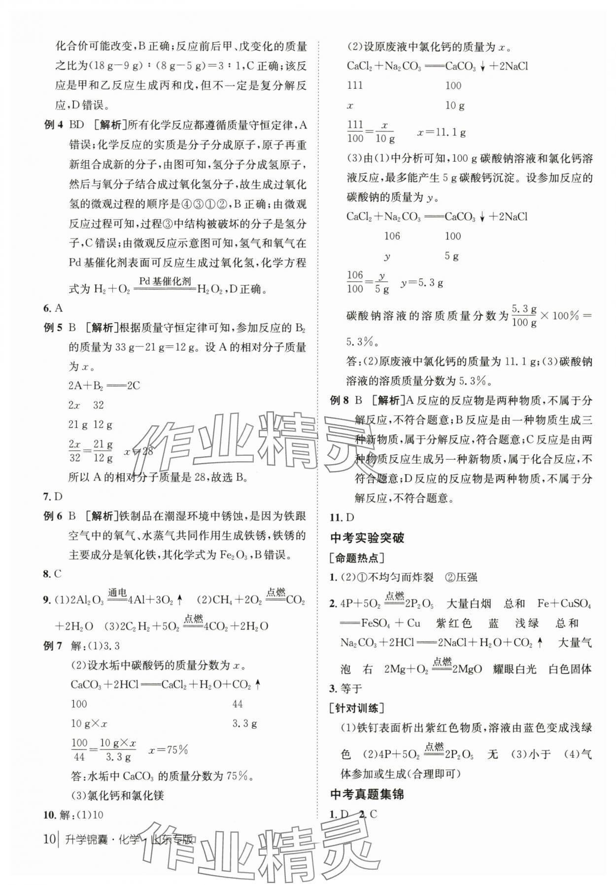 2024年升學錦囊化學山東專版 第10頁