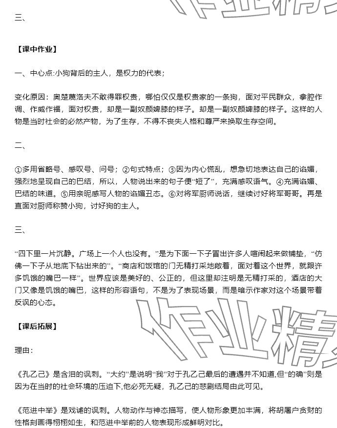 2025年知識與能力訓練九年級語文下冊人教版 參考答案第5頁