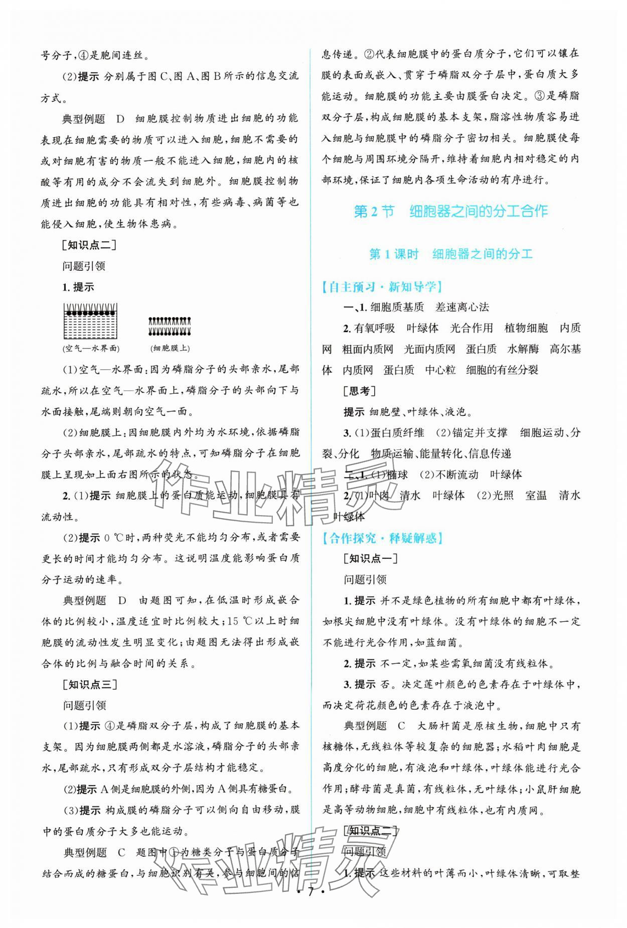 2024年高中同步測(cè)控優(yōu)化訓(xùn)練高中生物必修1人教版陜西專版 參考答案第6頁(yè)