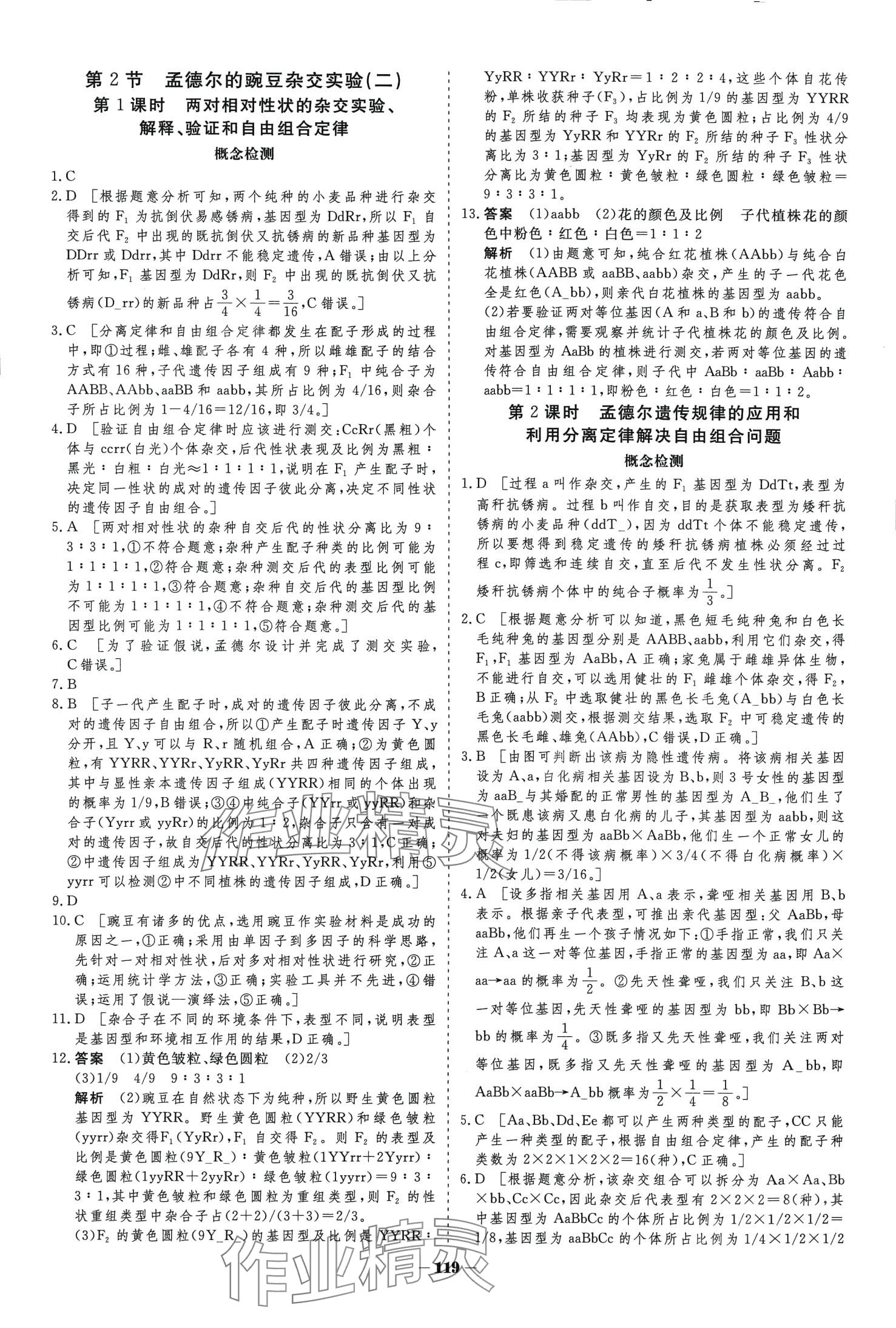 2024年金版教程高中新課程學(xué)習(xí)作業(yè)與測評高中生物必修2人教版 第4頁