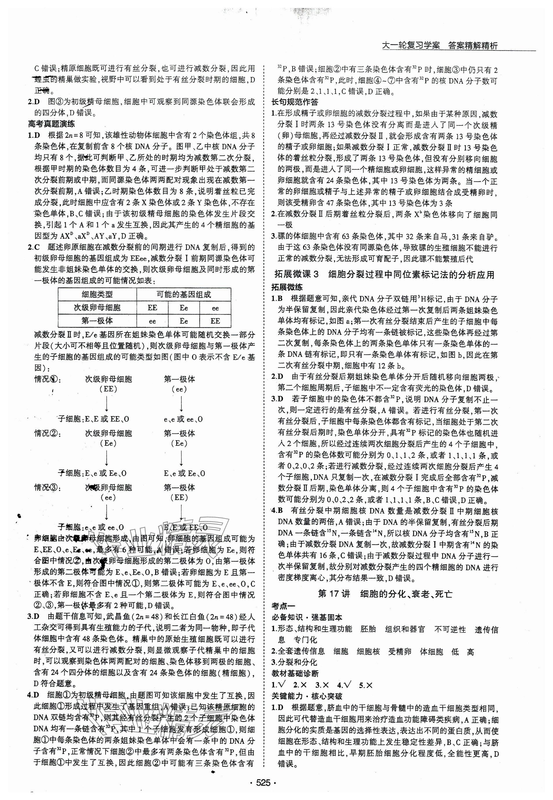 2024年3年高考2年模擬高三生物 參考答案第17頁(yè)