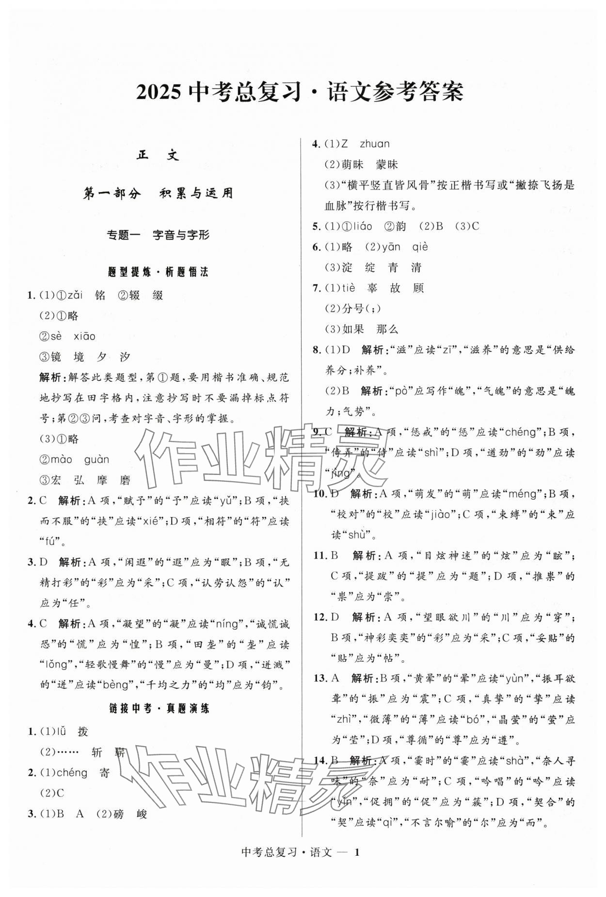 2025年創(chuàng)新與探究中考總復(fù)習(xí)語文 參考答案第1頁