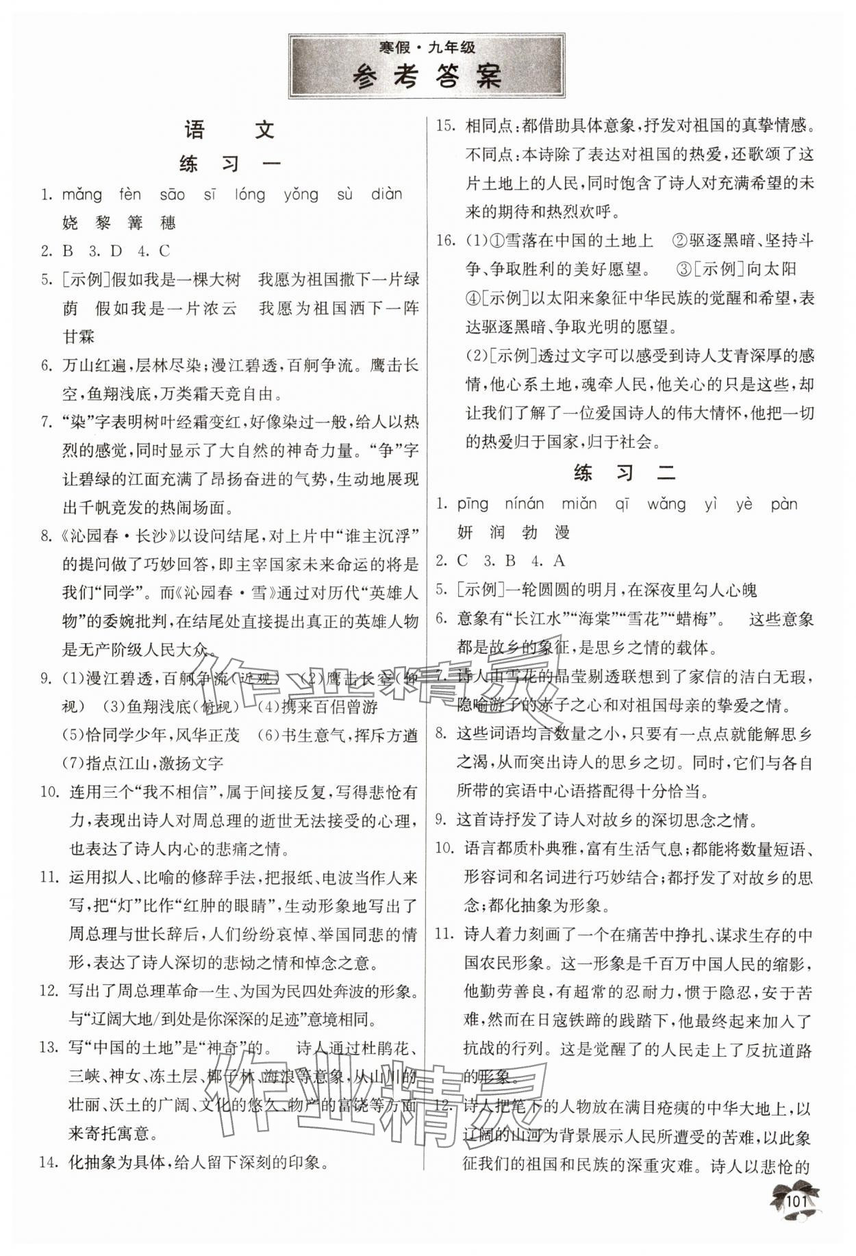 2025年快乐的寒假吉林教育出版社九年级语文.英语 第1页