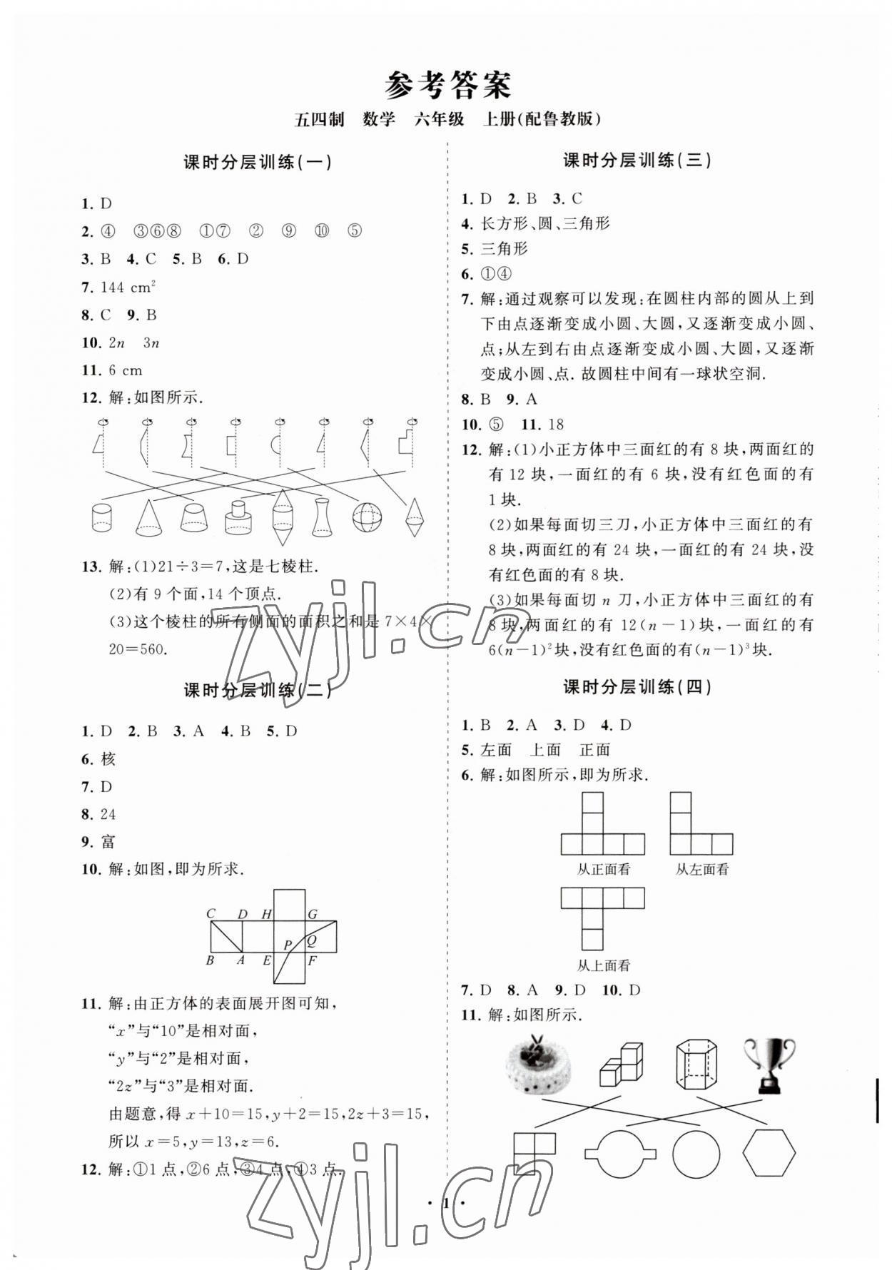 2023年同步練習(xí)冊分層卷六年級數(shù)學(xué)上冊魯教版54制 參考答案第1頁