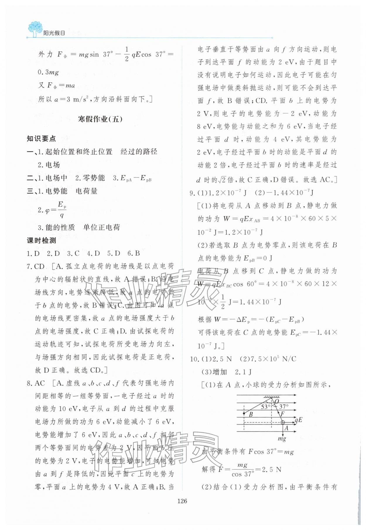 2026年陽光假日寒假高二物理&nbsp;第6頁