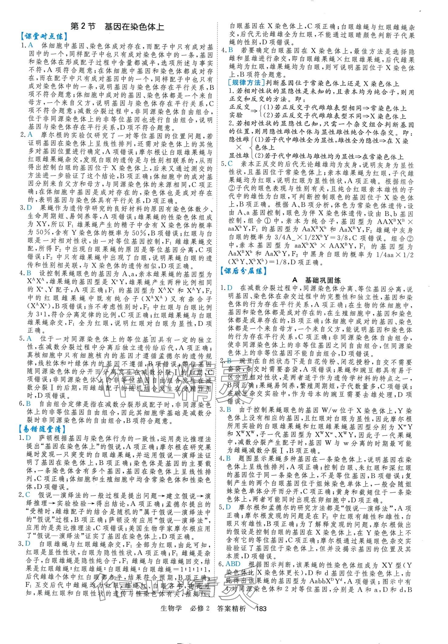 2024年課時周測月考高中生物（遺傳與進化）必修2 第10頁