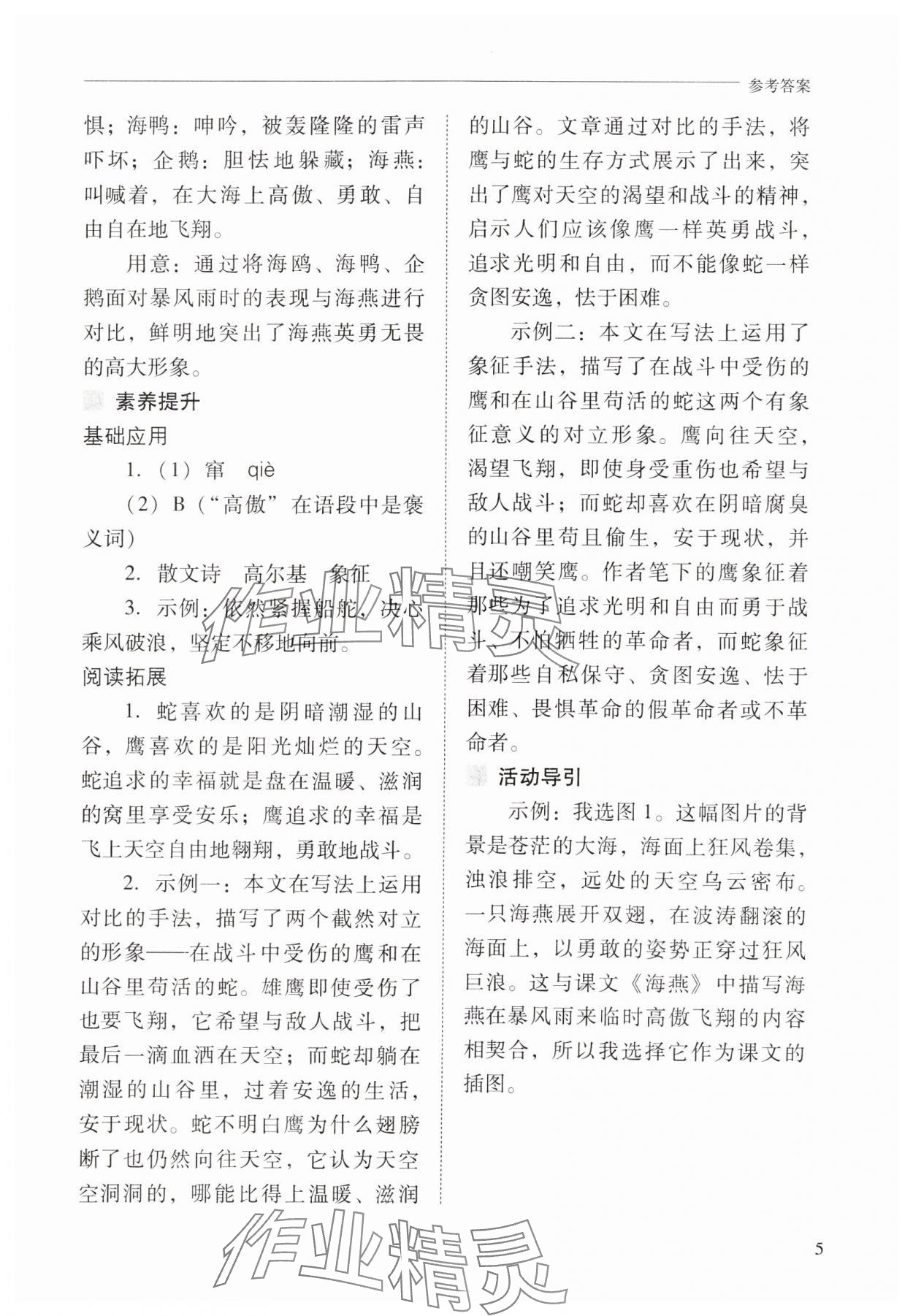 2025年新課程問題解決導學方案九年級語文下冊人教版 第5頁