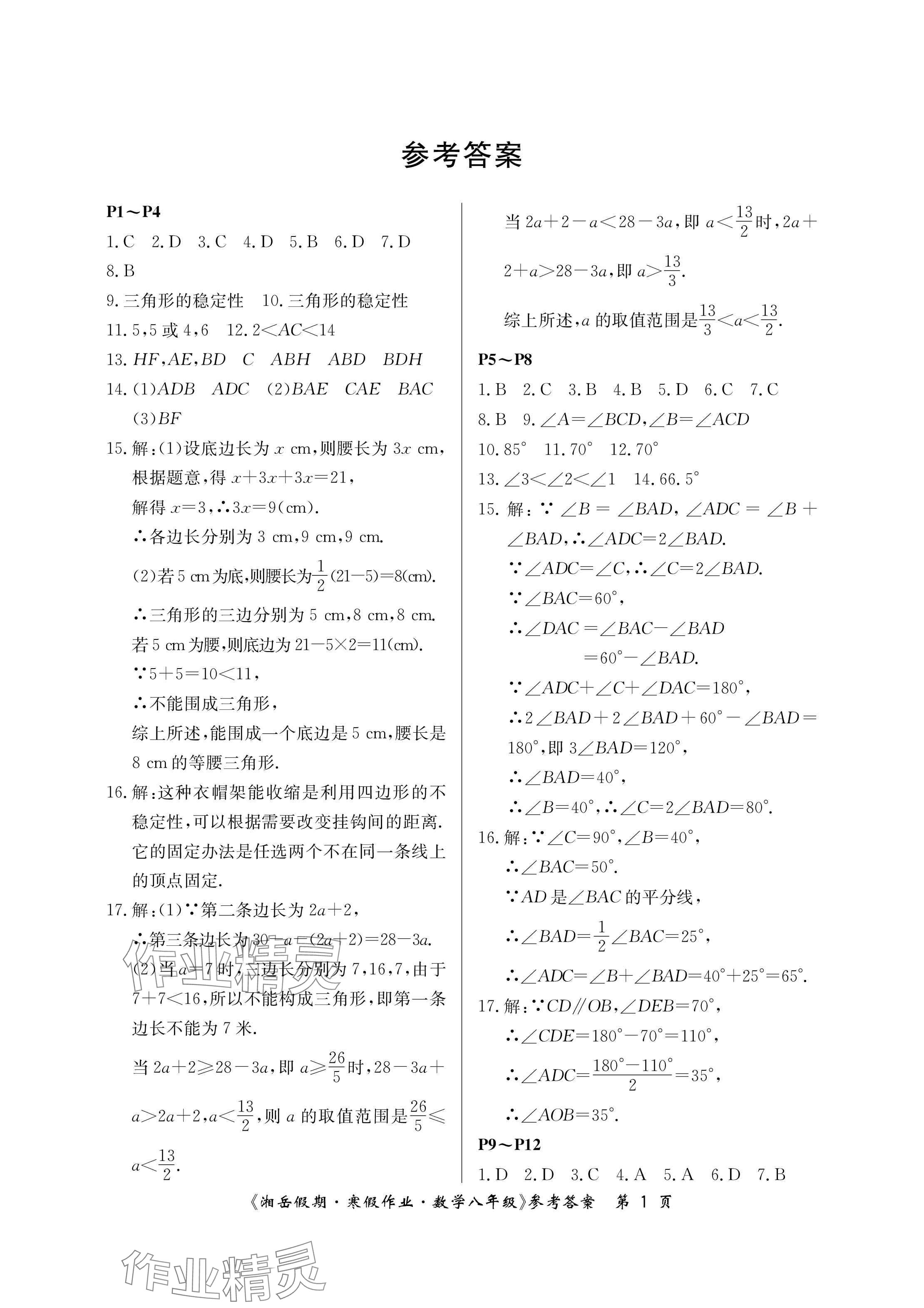 2025年湘岳假期寒假作业八年级数学人教版第三版 参考答案第1页