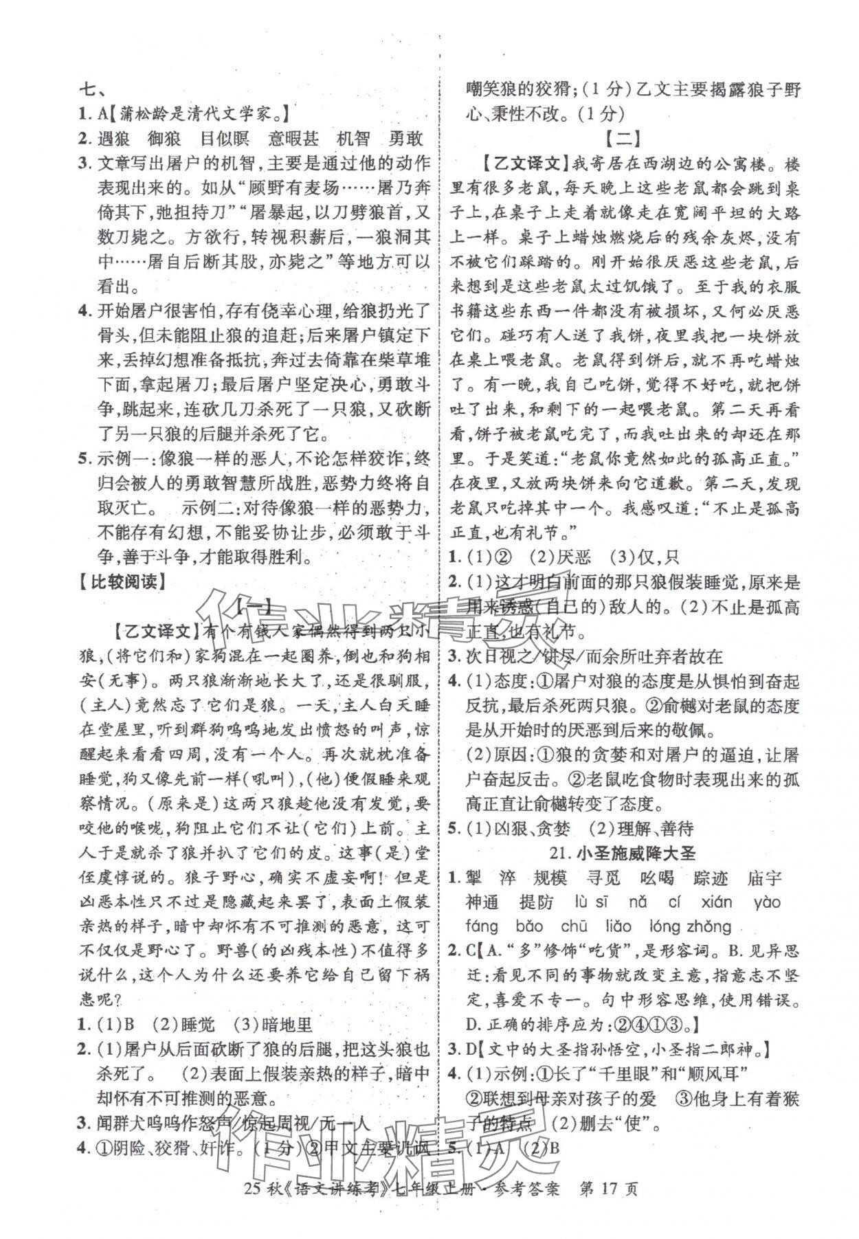 2025年语文讲练考七年级上册人教版 第17页