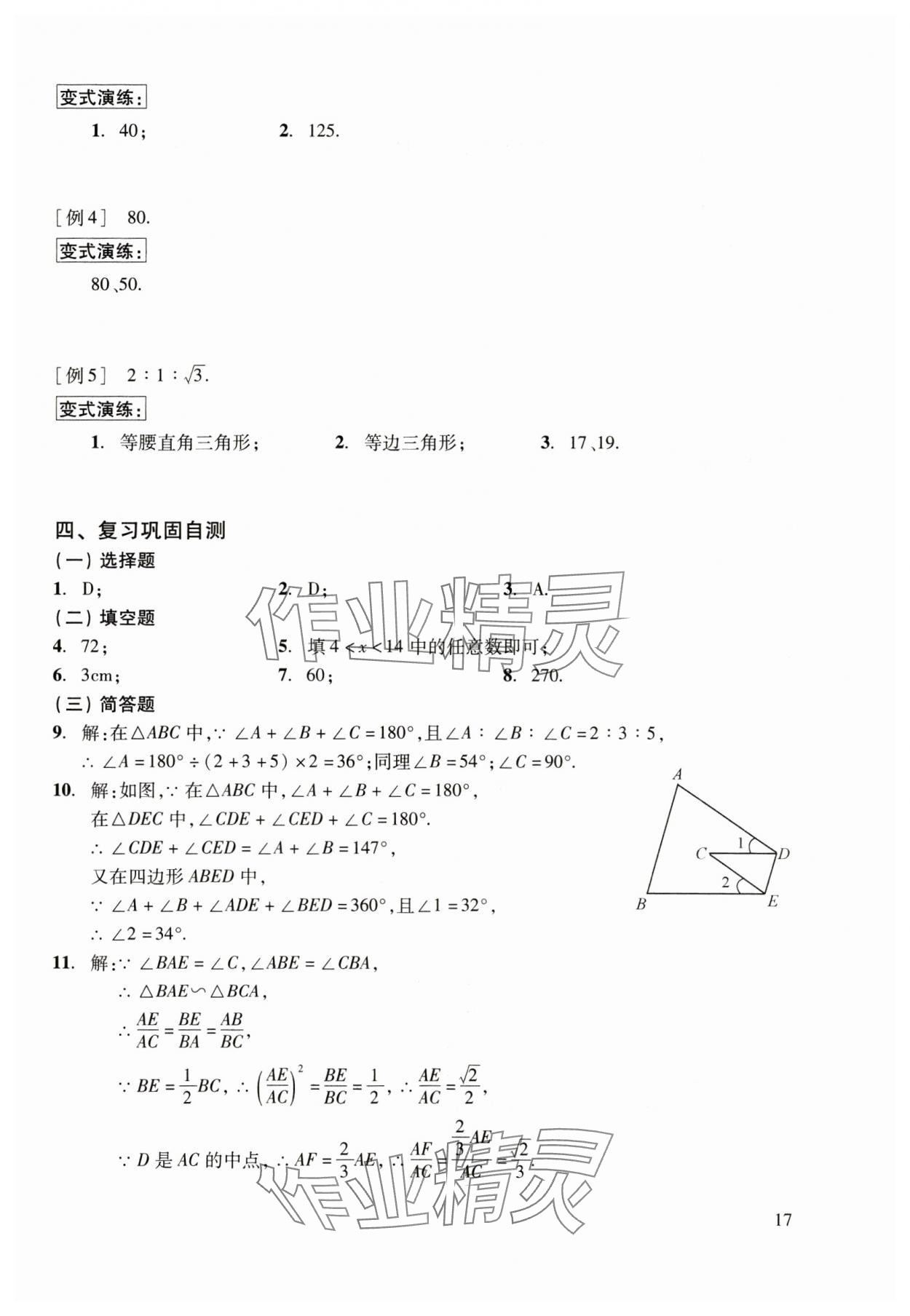 2025年初中数学复习点要初三总复习&nbsp;参考答案第17页