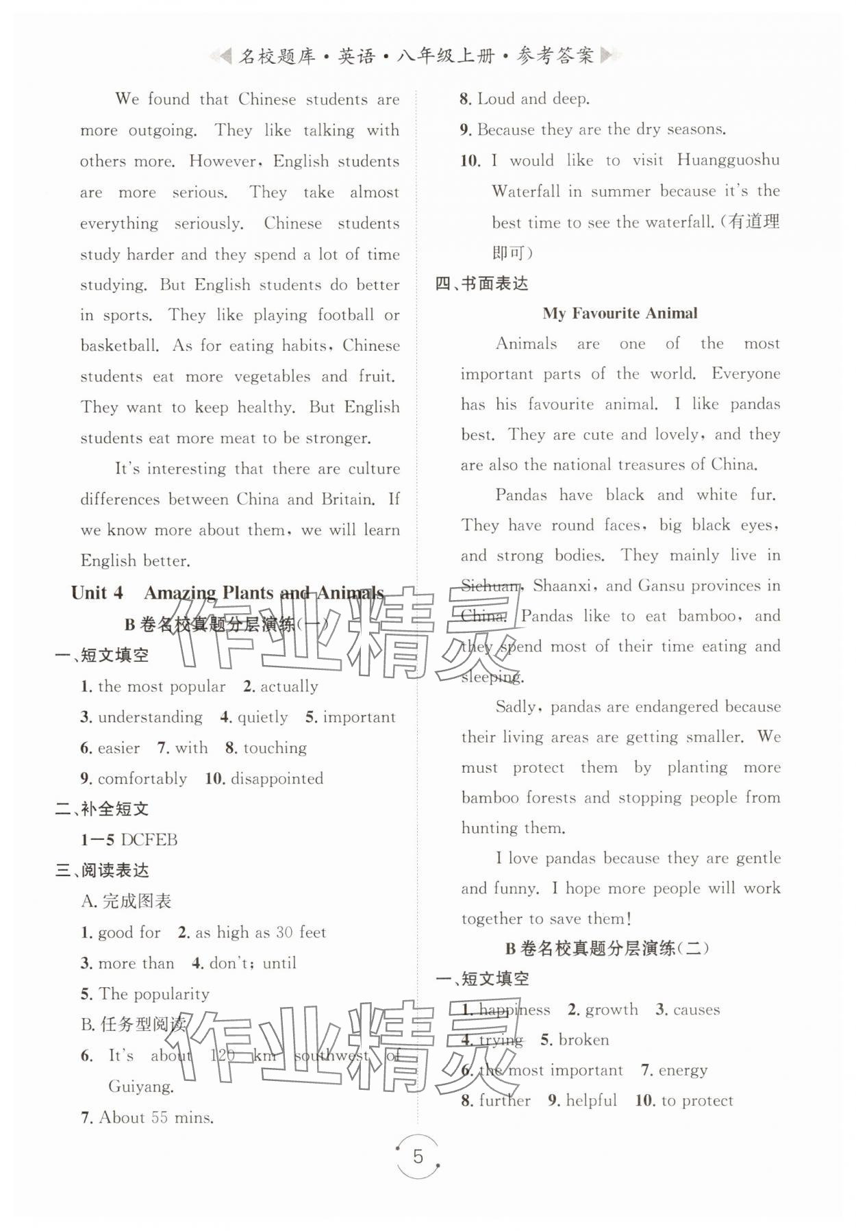 2025年名校题库八年级英语上册人教版&nbsp;第5页