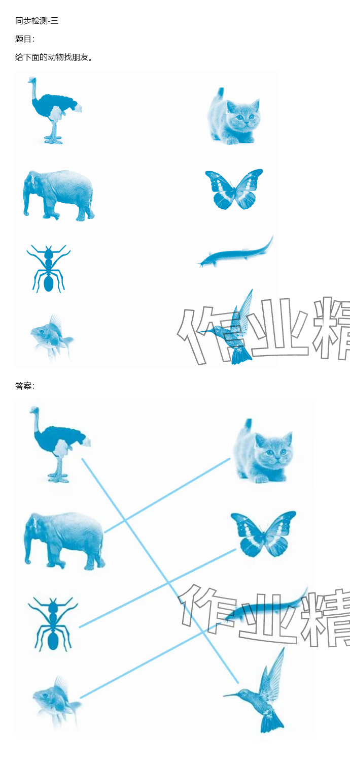 2024年同步實(shí)踐評(píng)價(jià)課程基礎(chǔ)訓(xùn)練六年級(jí)科學(xué)下冊(cè)教科版 參考答案第108頁(yè)