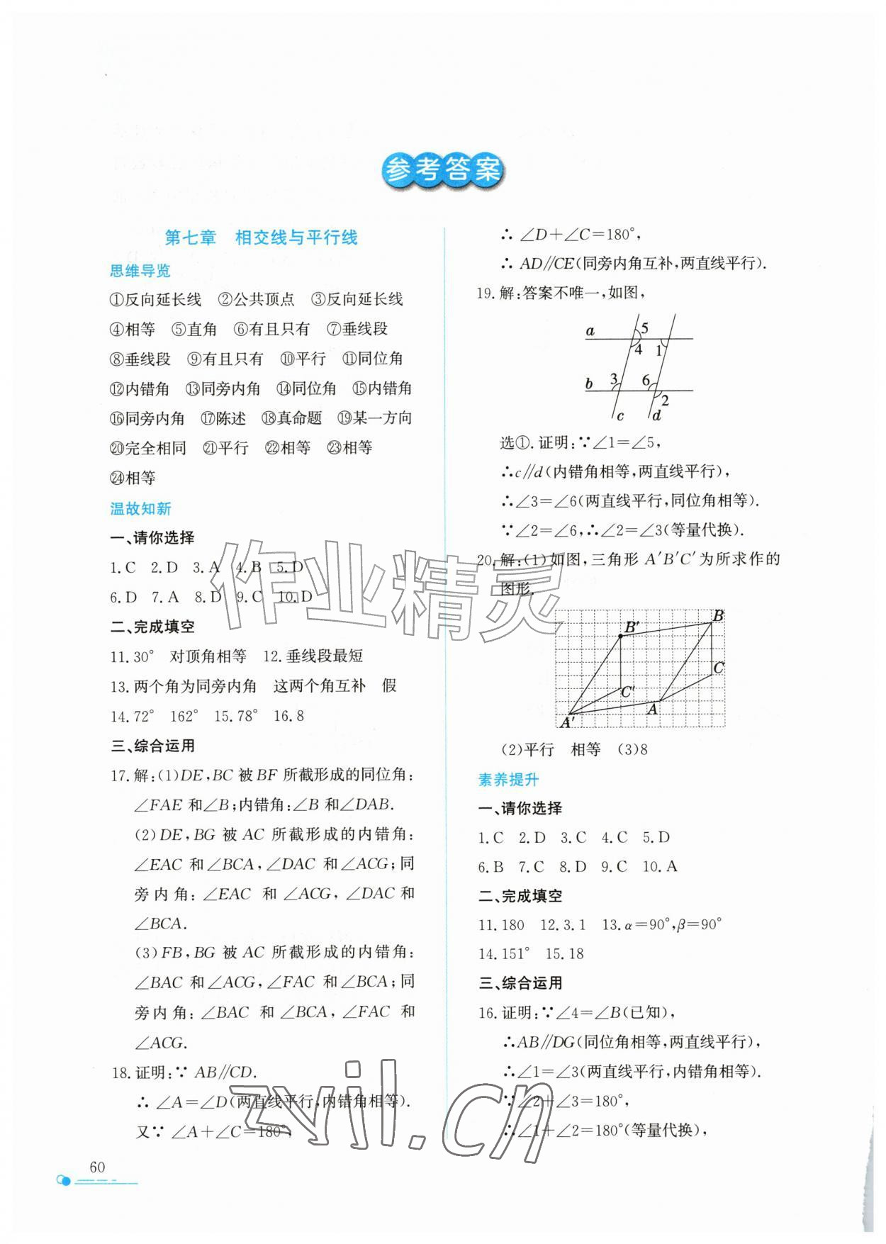 2026年暑假作业与生活陕西人民教育出版社七年级数学通用版&nbsp;参考答案第1页